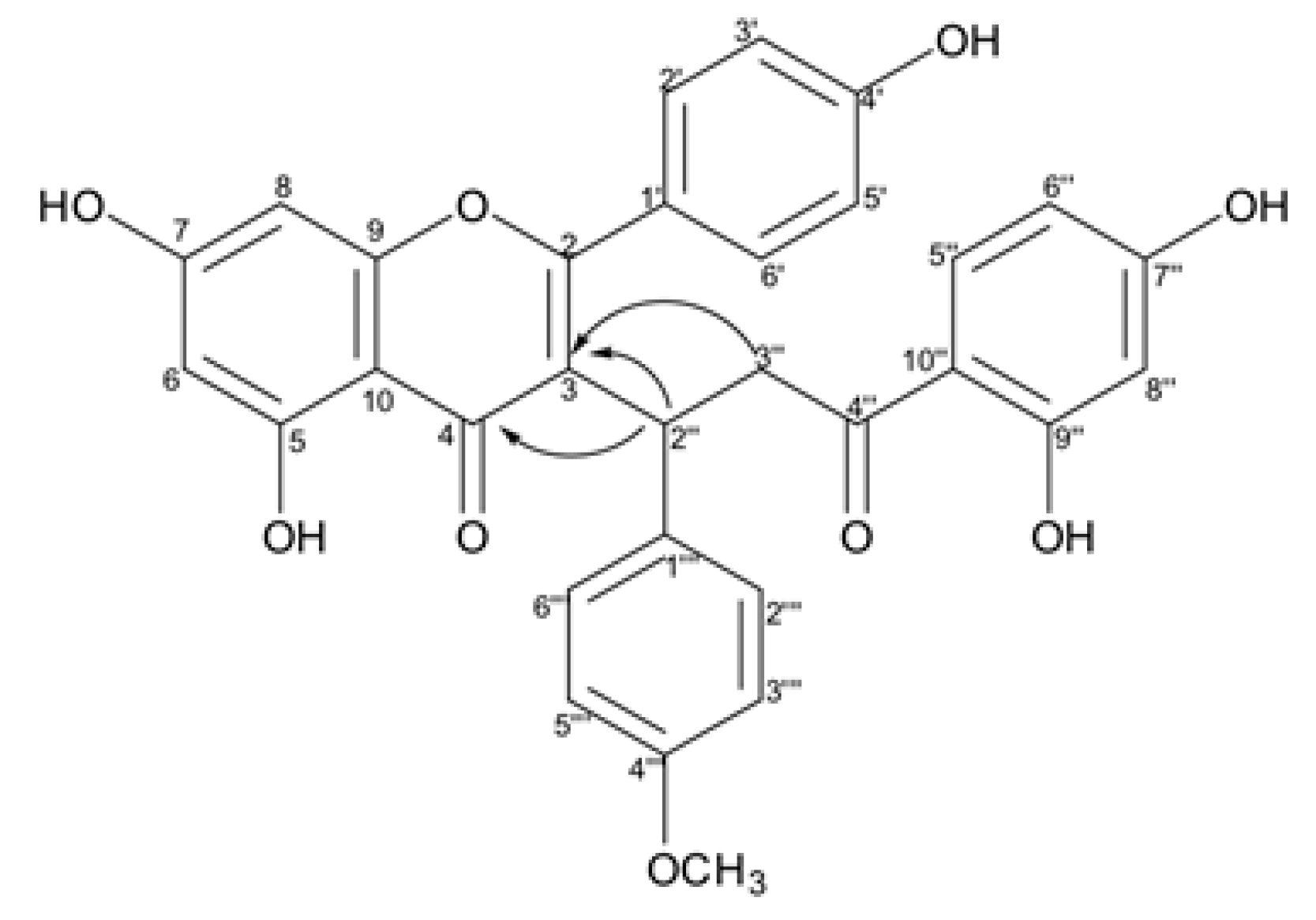 Molecules 24 04375 g009
