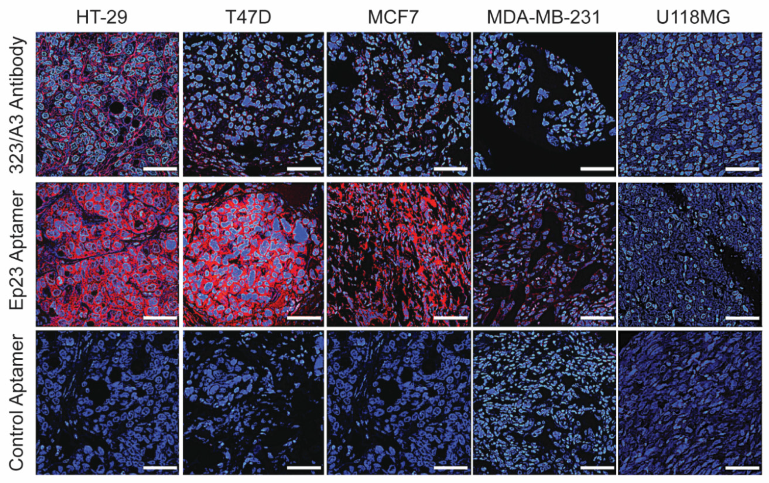Molecules 24 04377 g001 Molecules 24 04377 g001
