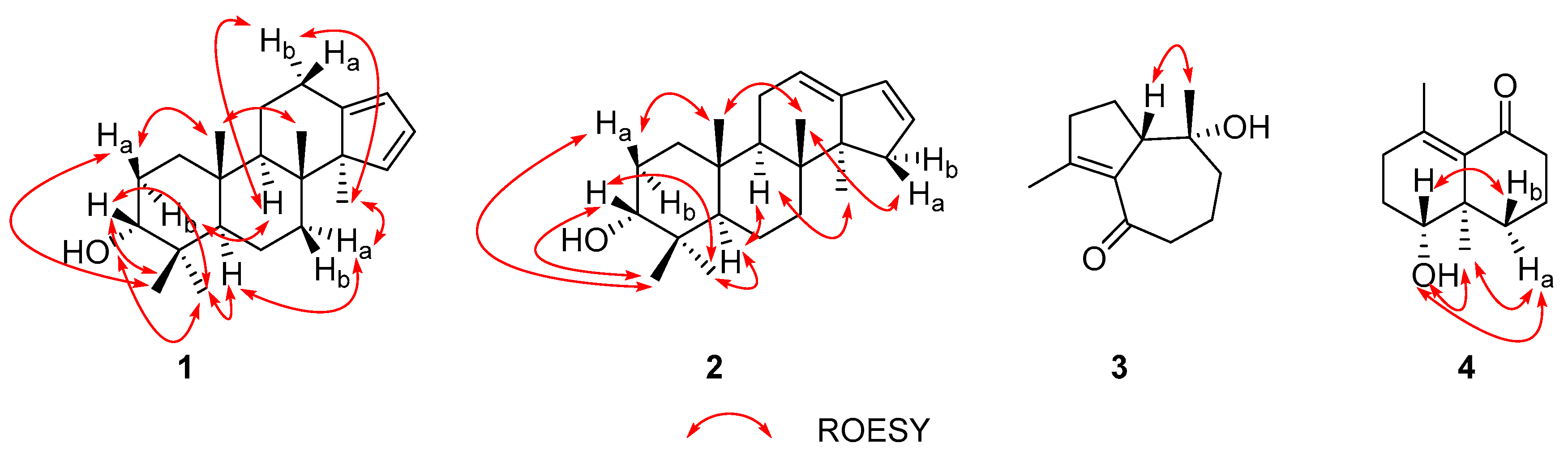 Molecules 24 04379 g003