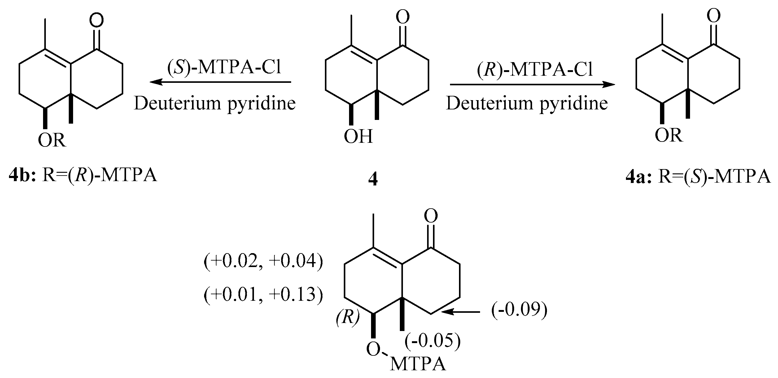 Molecules 24 04379 g005