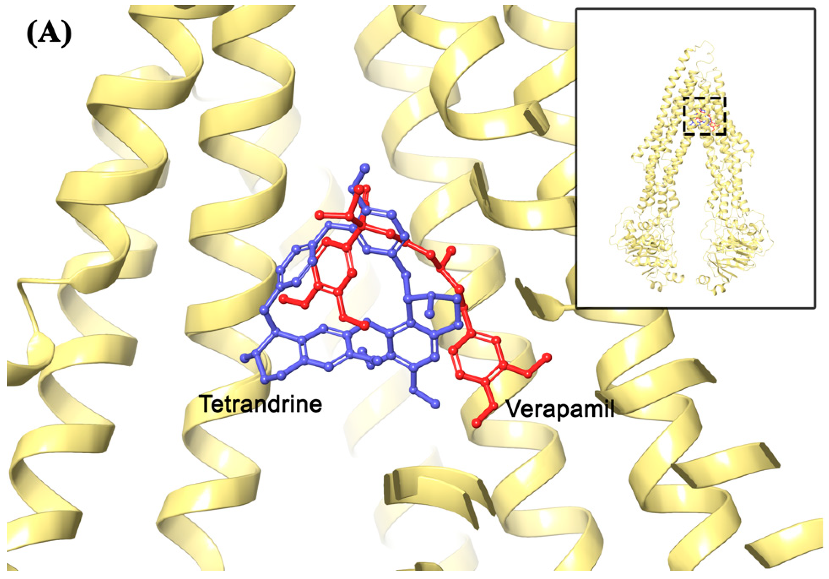 Molecules 24 04383 g008a Molecules 24 04383 g008a