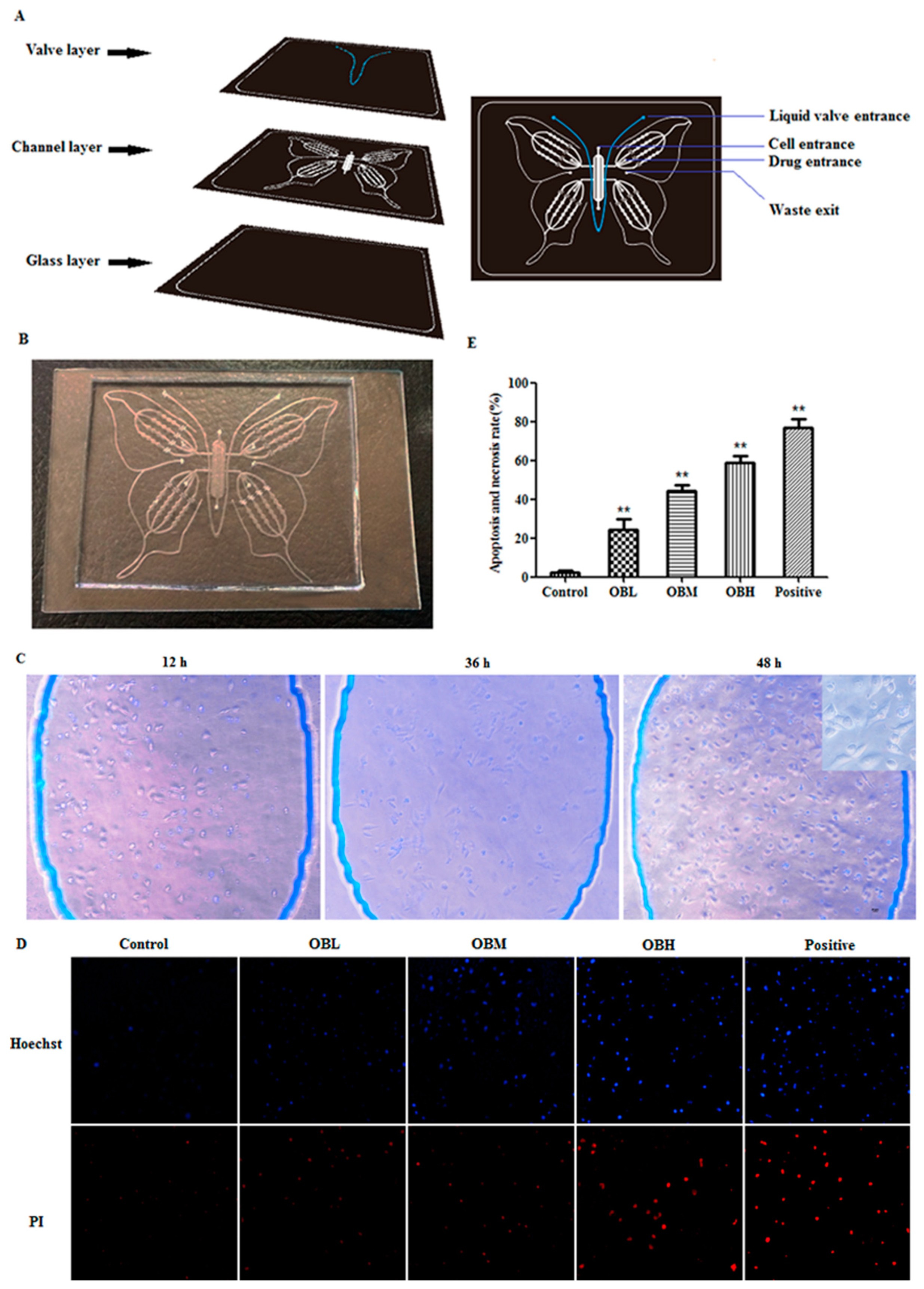 Molecules 24 04384 g001 550