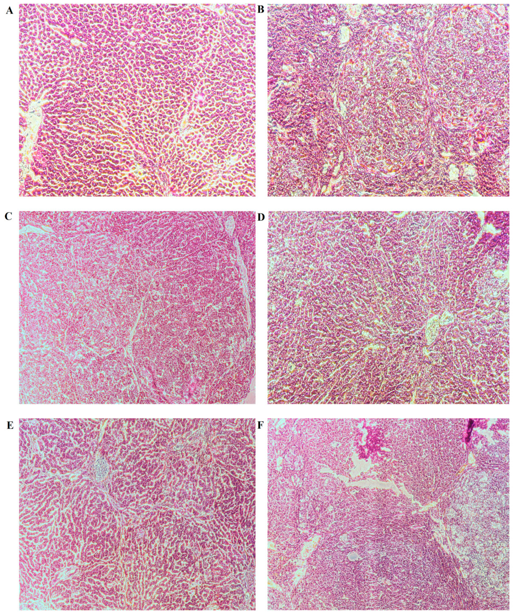 Molecules 24 04384 g004 550
