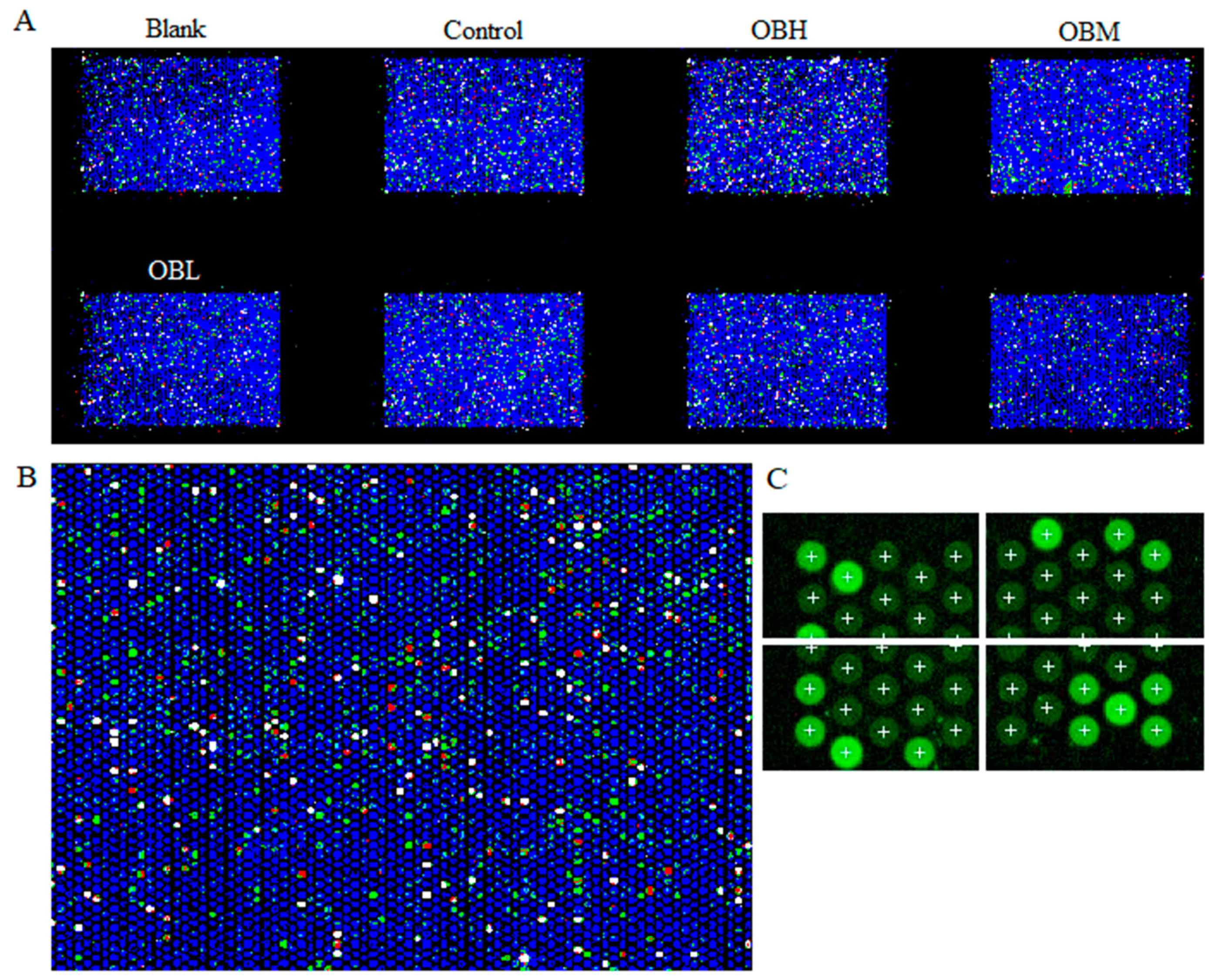 Molecules 24 04384 g006 550
