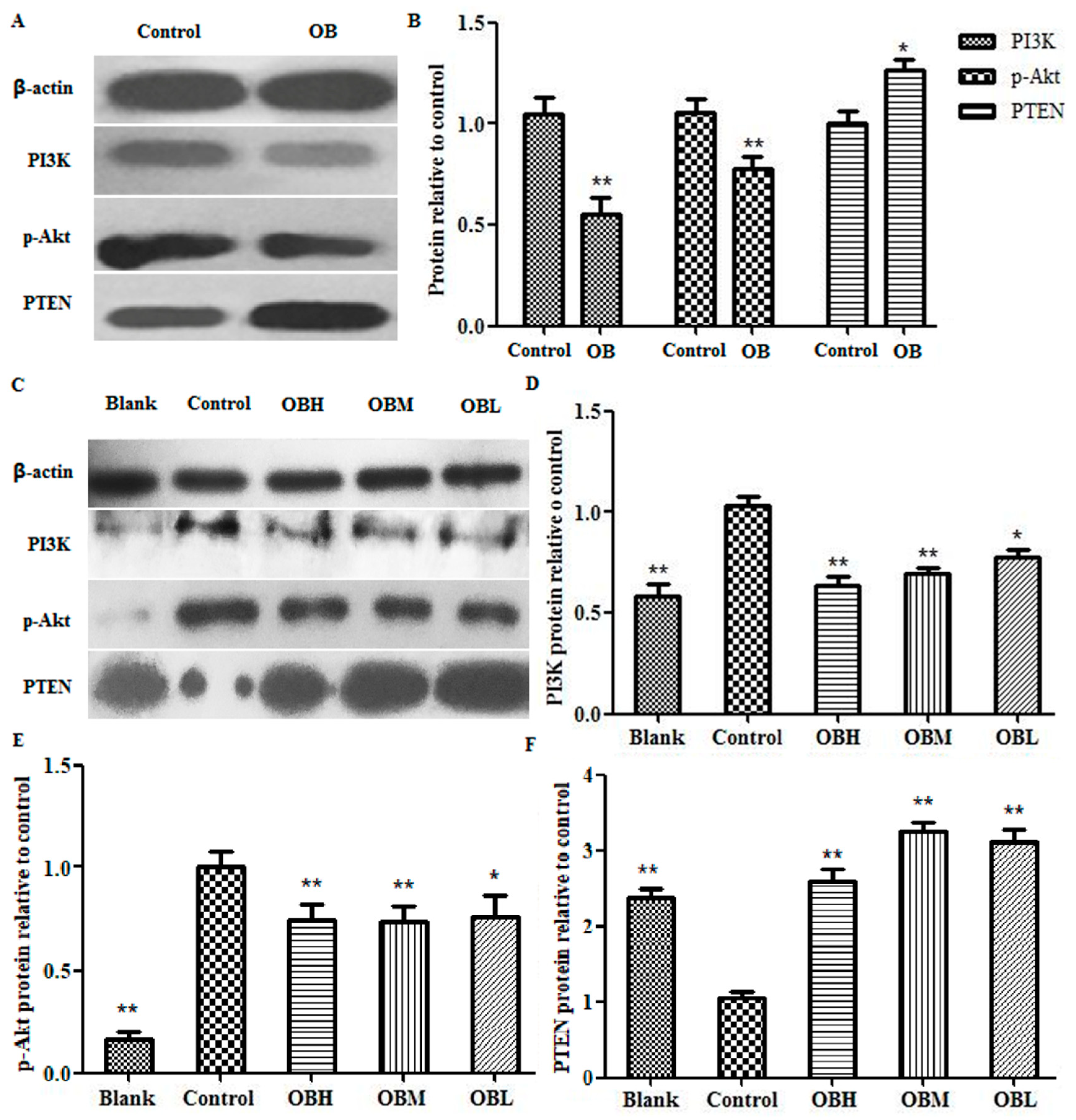 Molecules 24 04384 g008 550