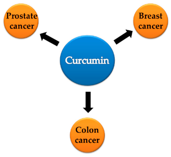 Curcumin and Its Derivatives as Potential Therapeutic Agents in ...