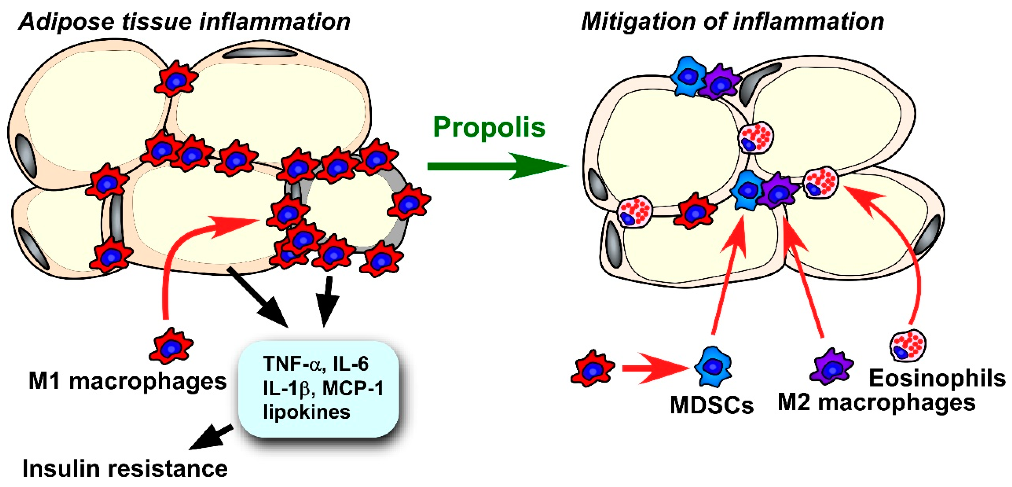 Molecules 24 04394 g004