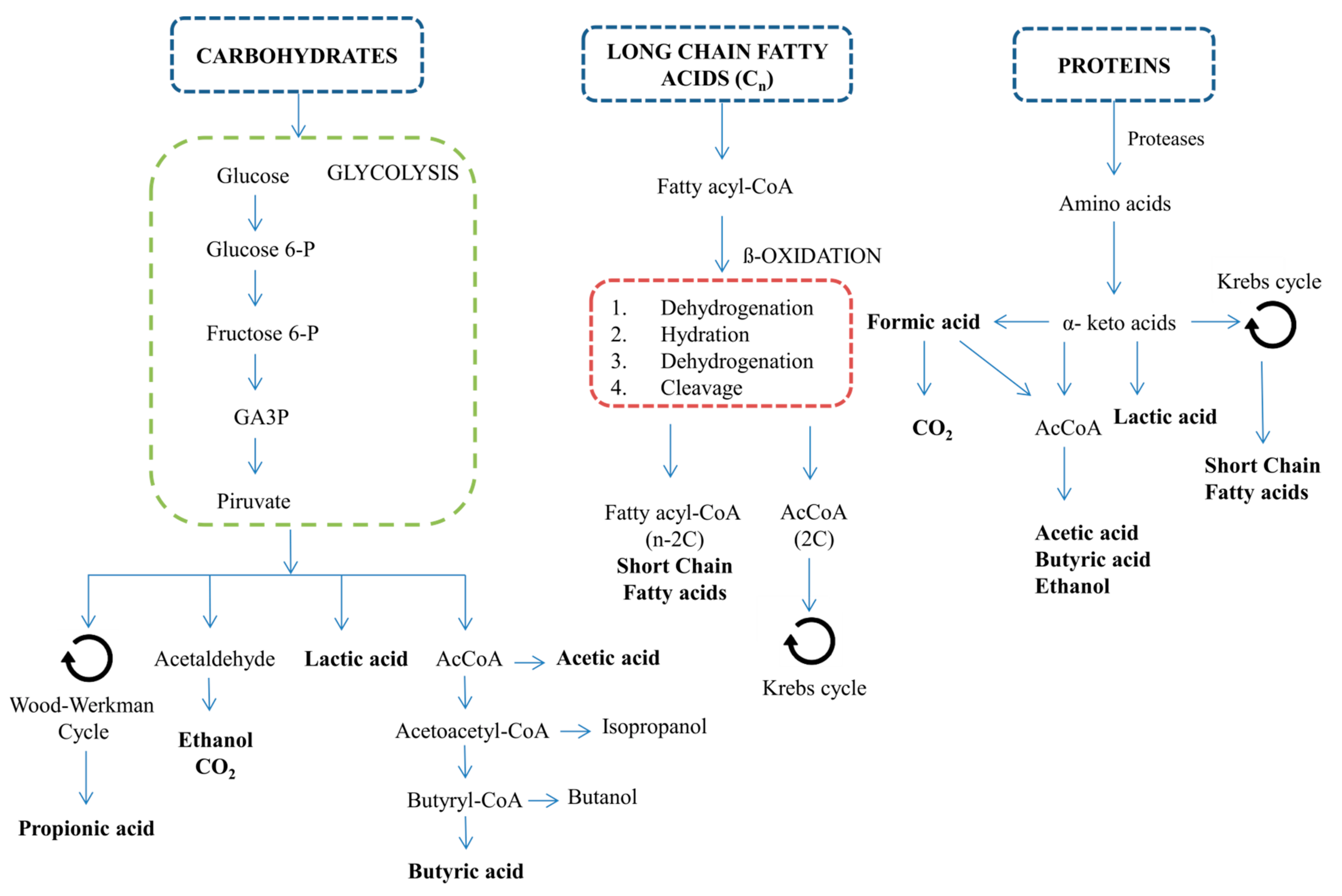Molecules 24 04404 g001