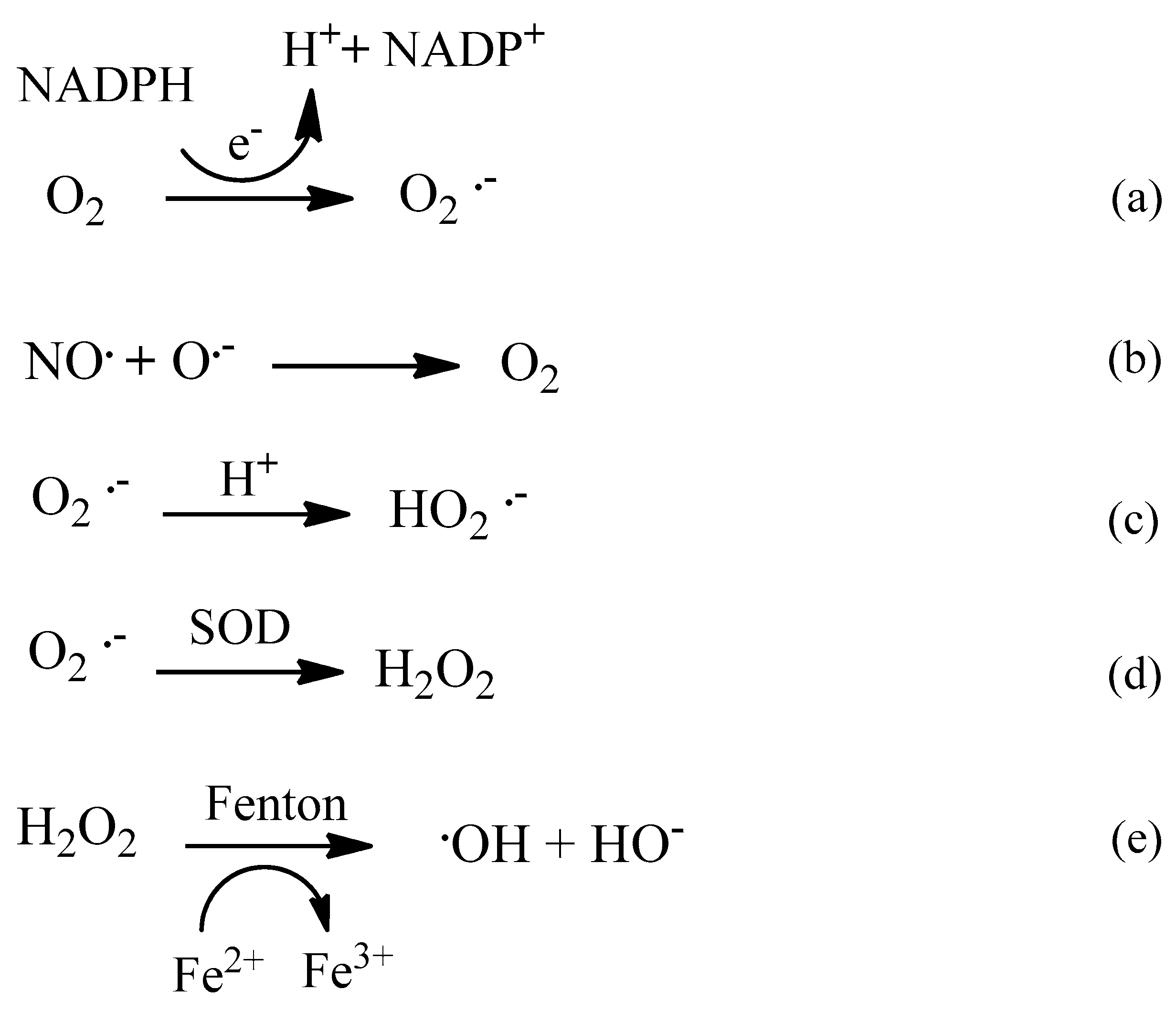 Molecules 24 04410 sch001 Molecules 24 04410 sch001