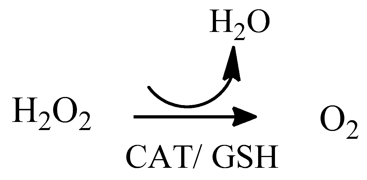 Molecules 24 04410 sch002 Molecules 24 04410 sch002