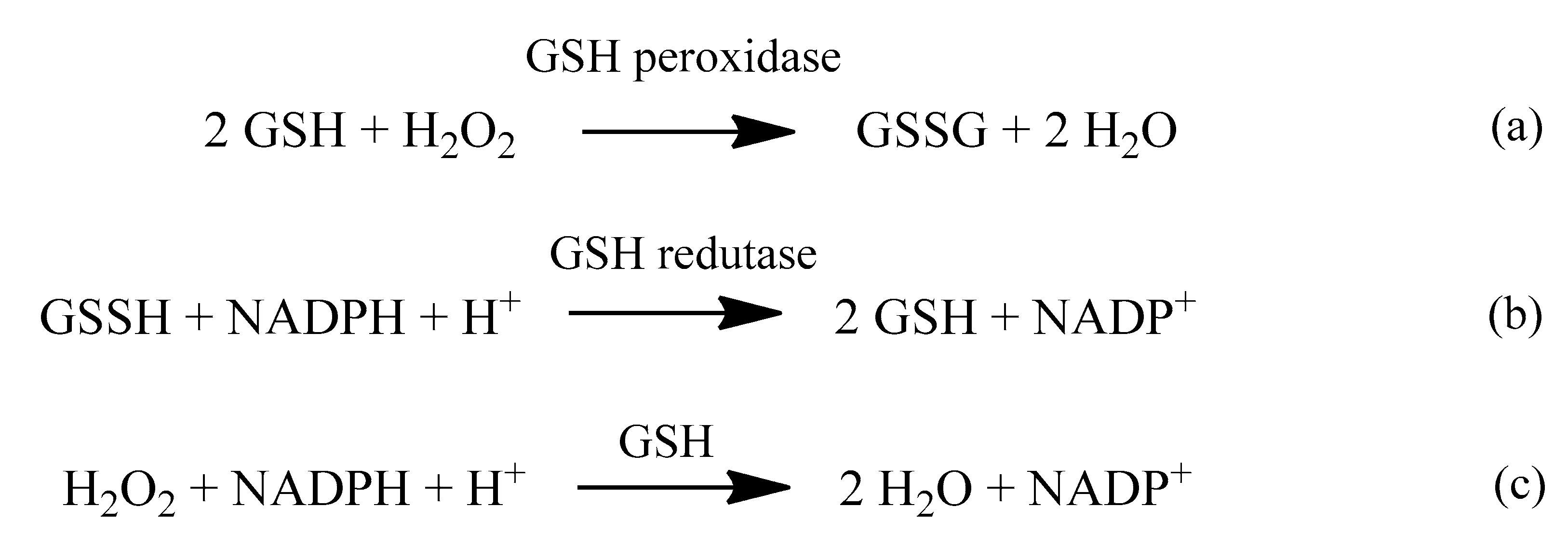 Molecules 24 04410 sch004 Molecules 24 04410 sch004