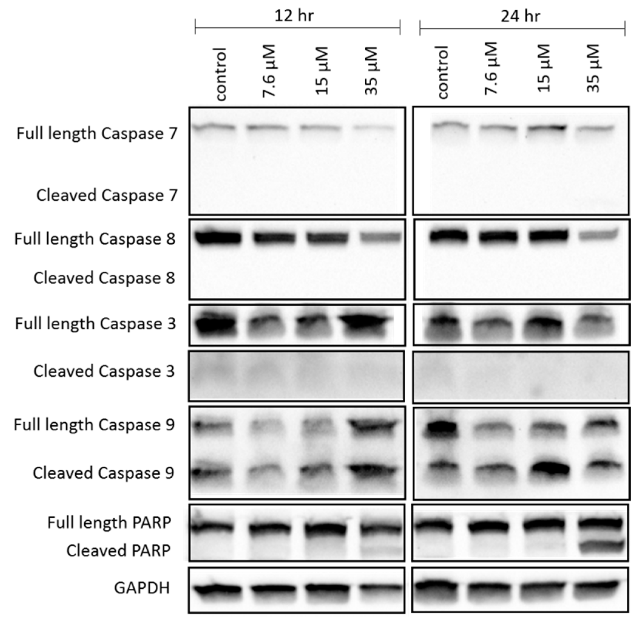 Molecules 24 04415 g005