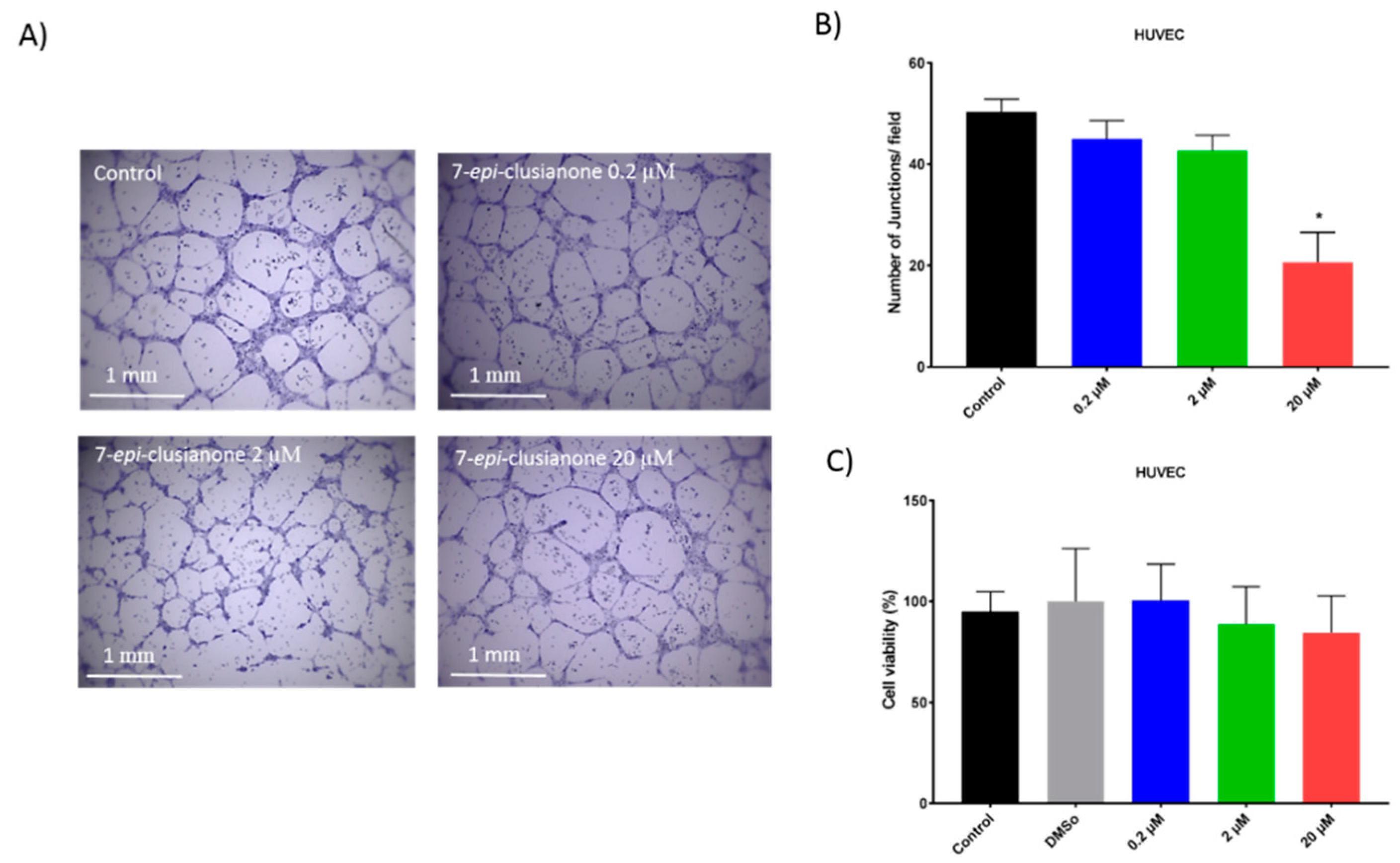 Molecules 24 04415 g007