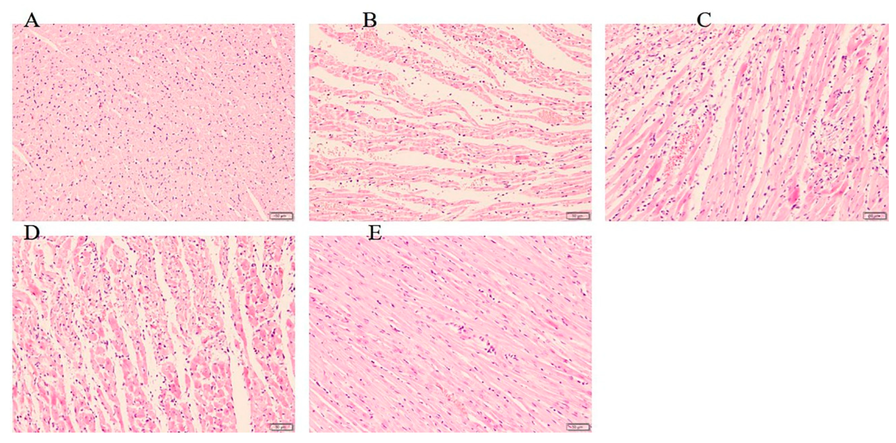 Molecules 24 04416 g003 Molecules 24 04416 g003
