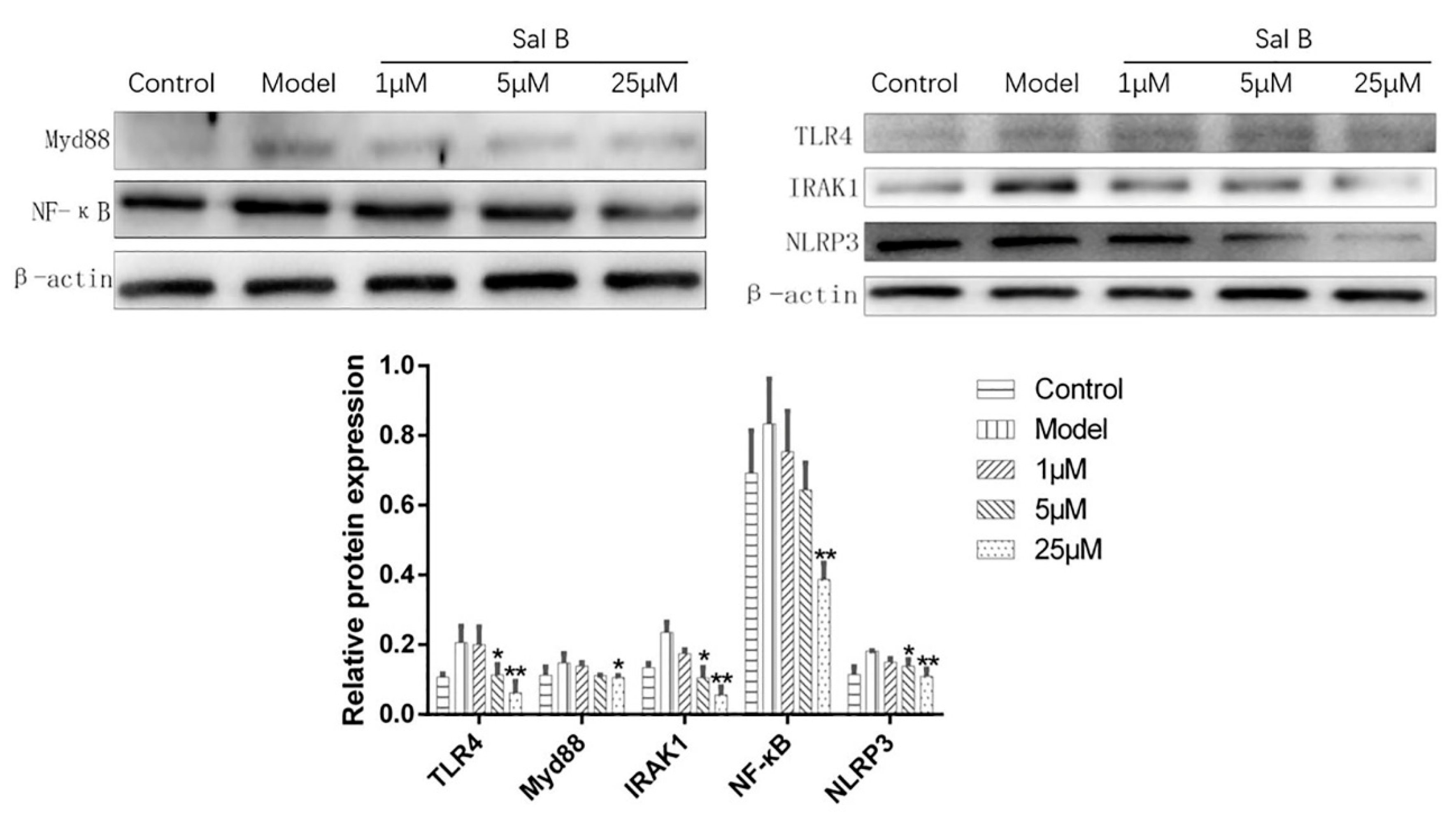Molecules 24 04416 g007 Molecules 24 04416 g007