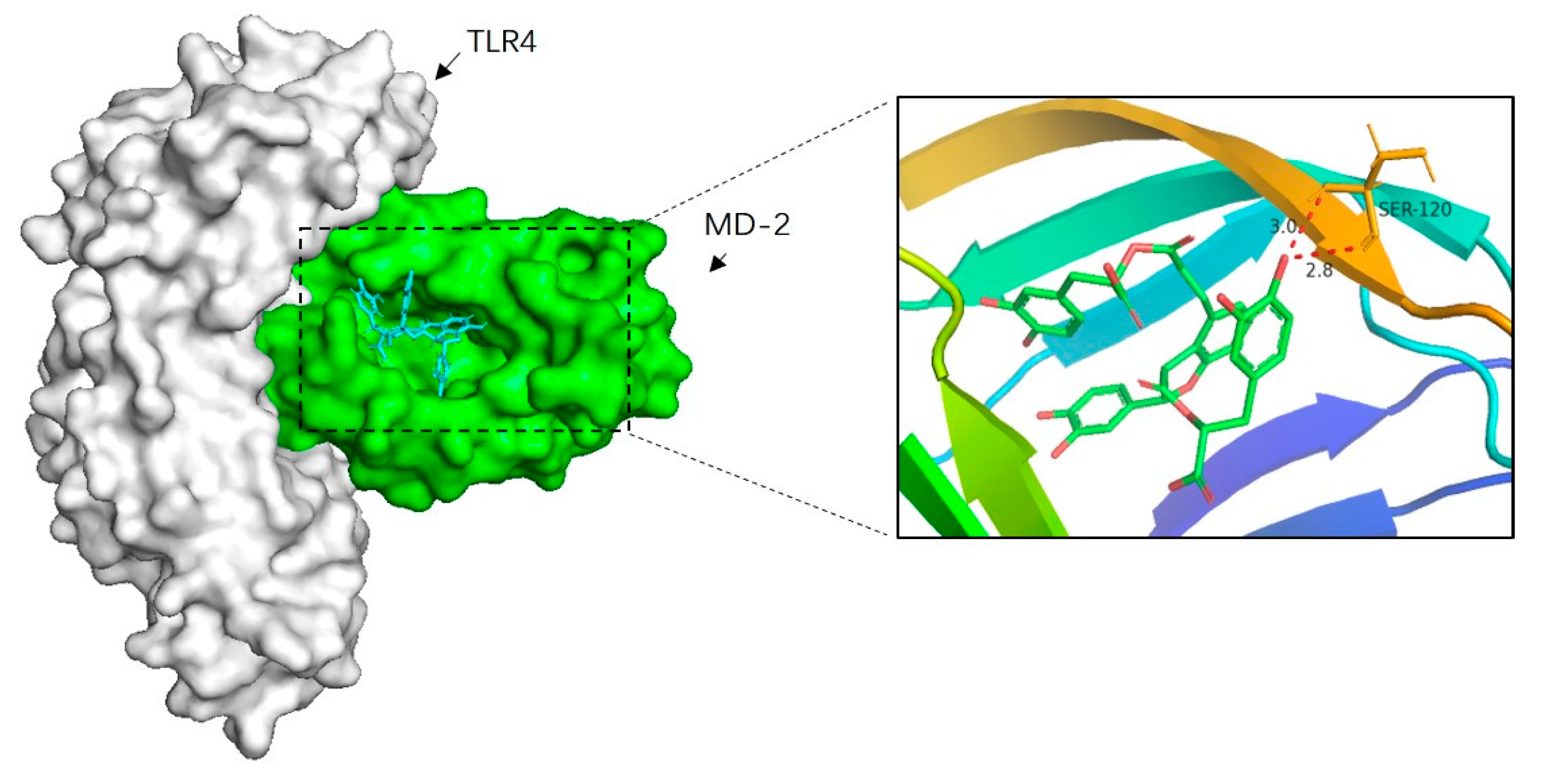 Molecules 24 04416 g009 Molecules 24 04416 g009