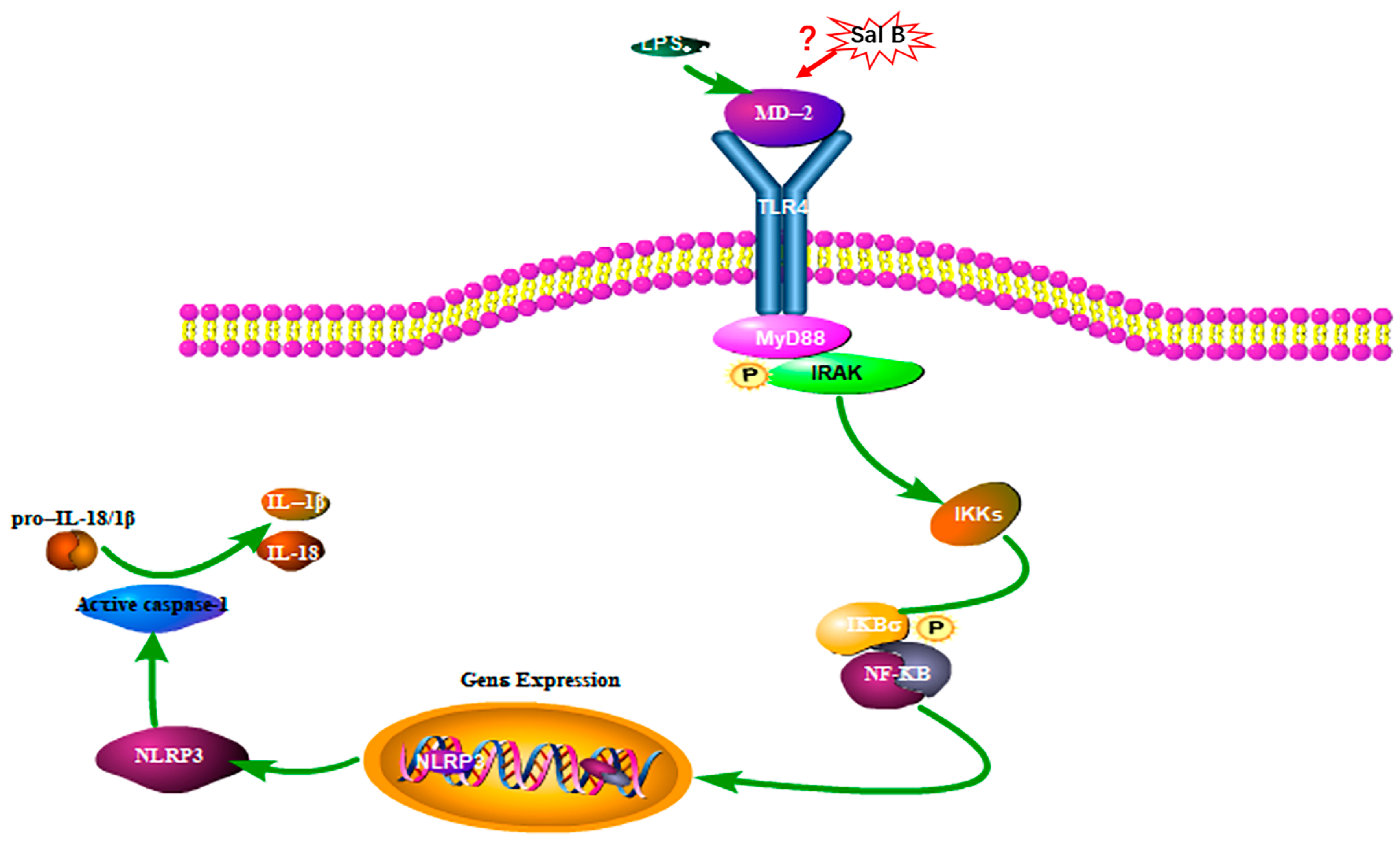 Molecules 24 04416 g012 Molecules 24 04416 g012