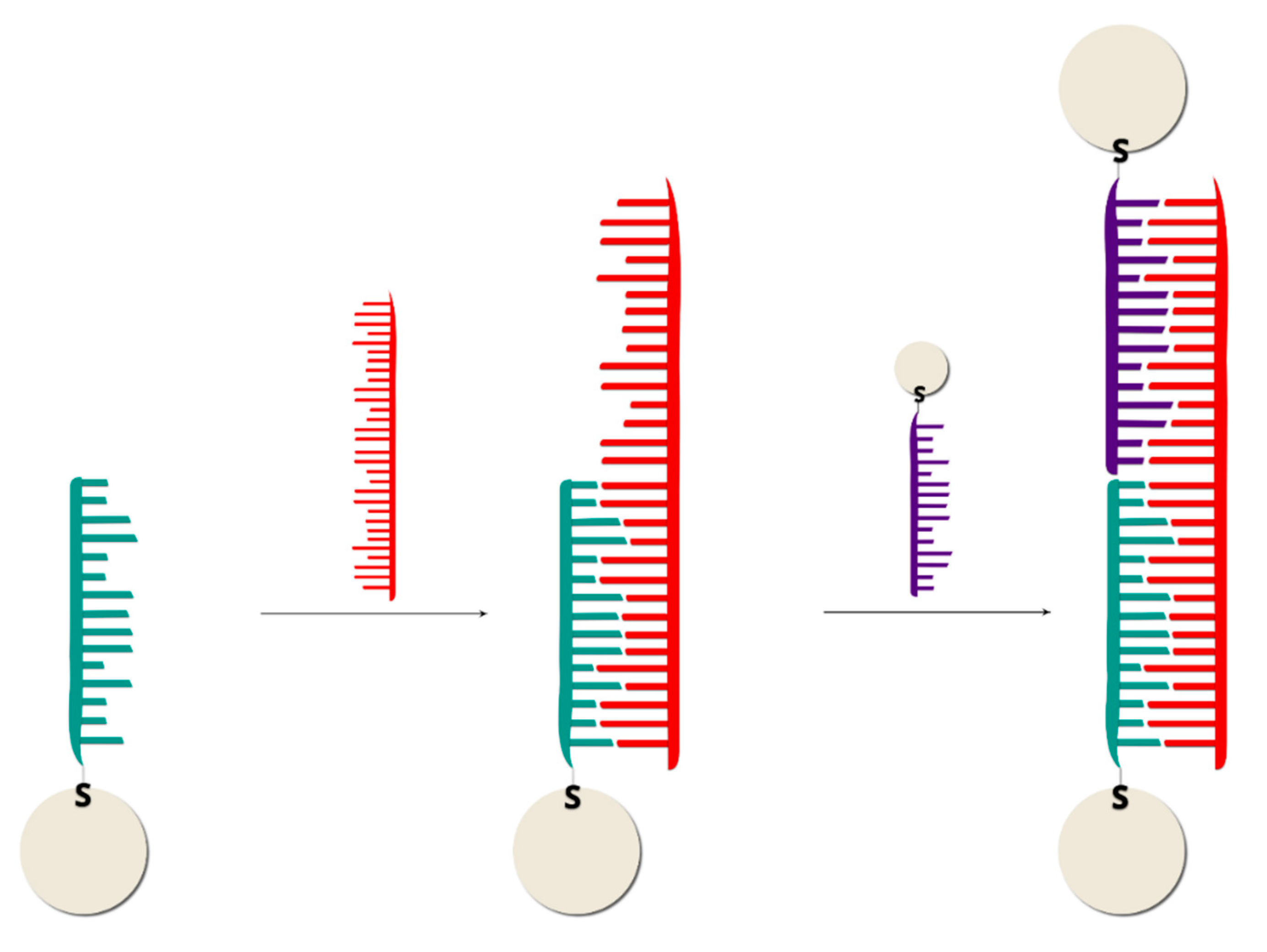 Molecules 24 04423 g003 Molecules 24 04423 g003