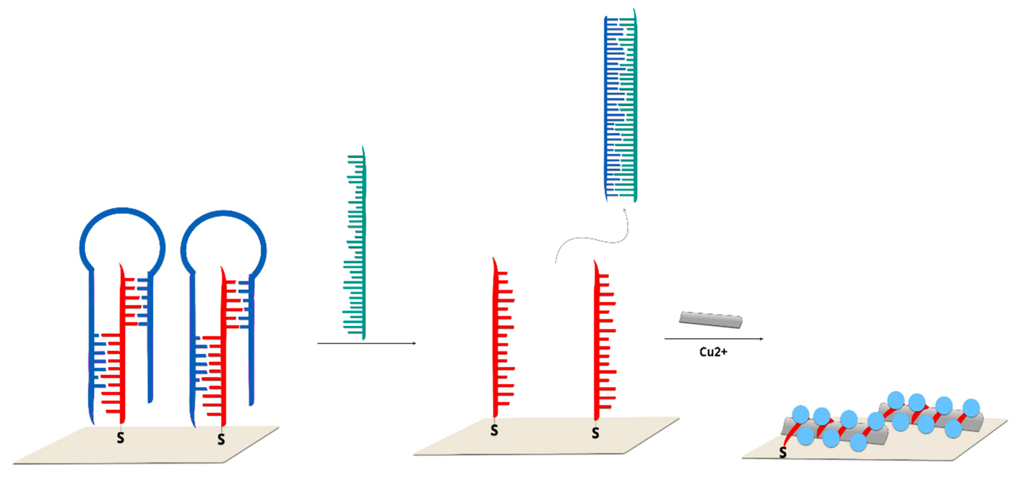 Molecules 24 04423 g005 Molecules 24 04423 g005