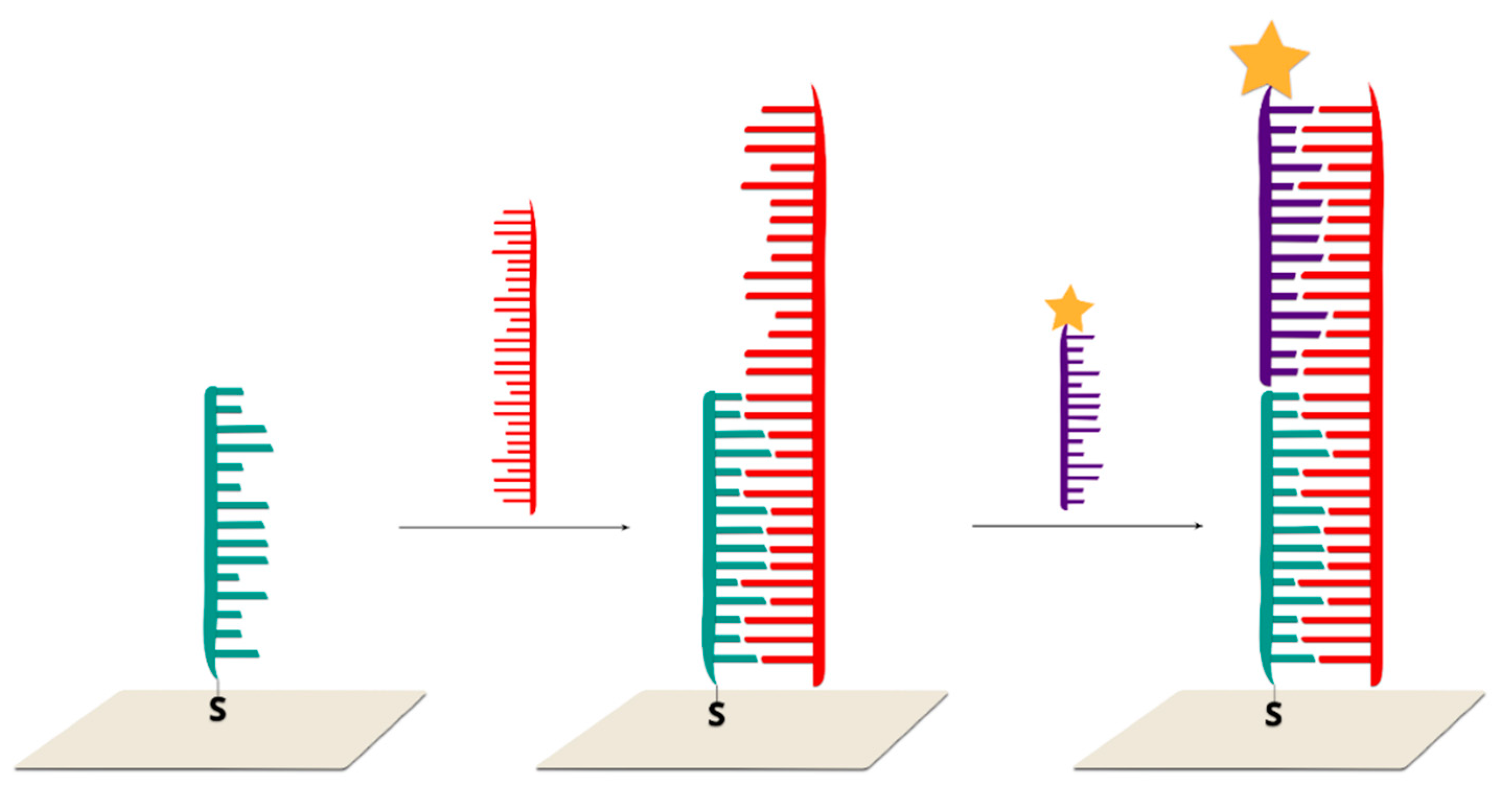 Molecules 24 04423 g006 Molecules 24 04423 g006