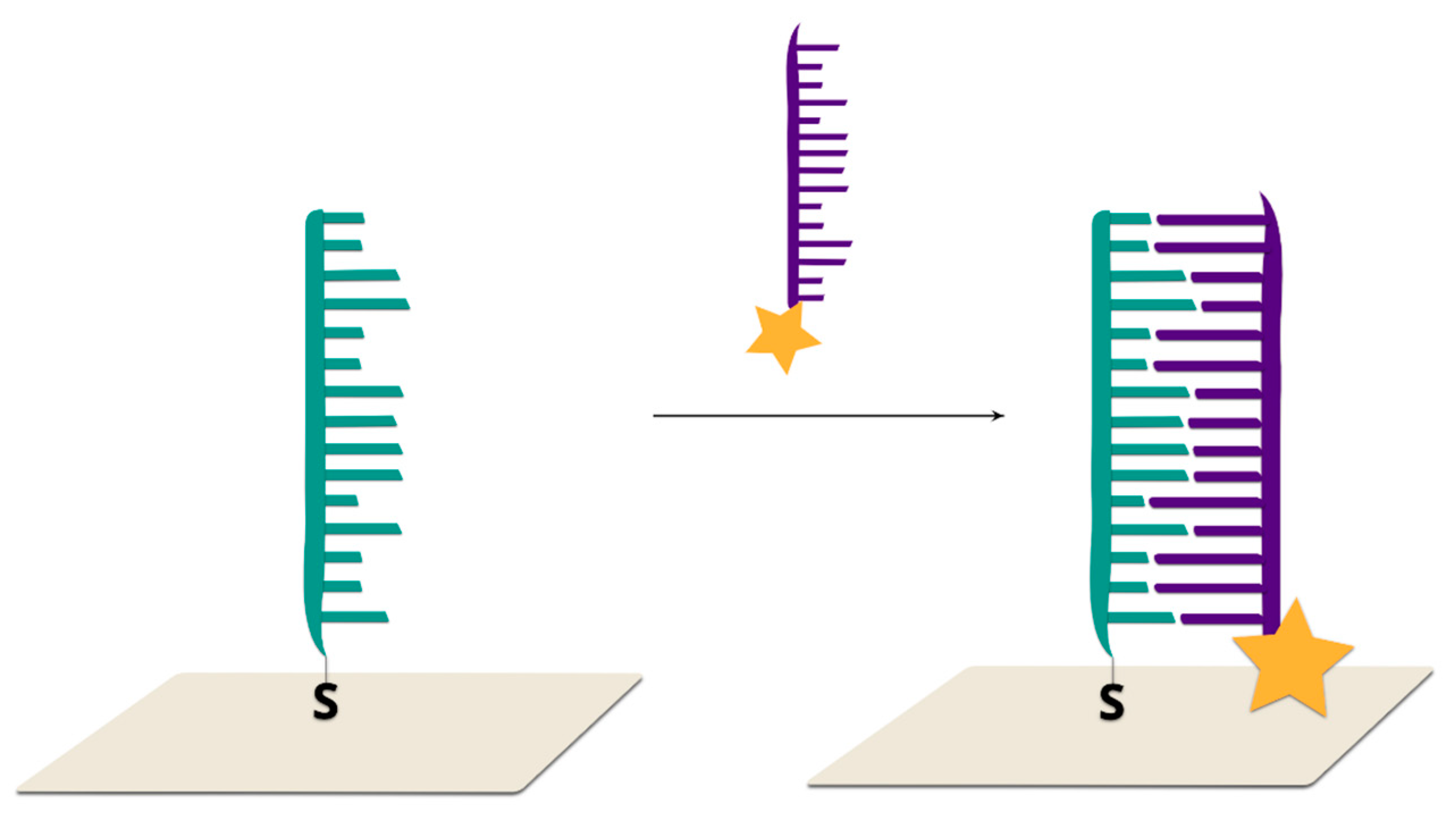 Molecules 24 04423 g007 Molecules 24 04423 g007