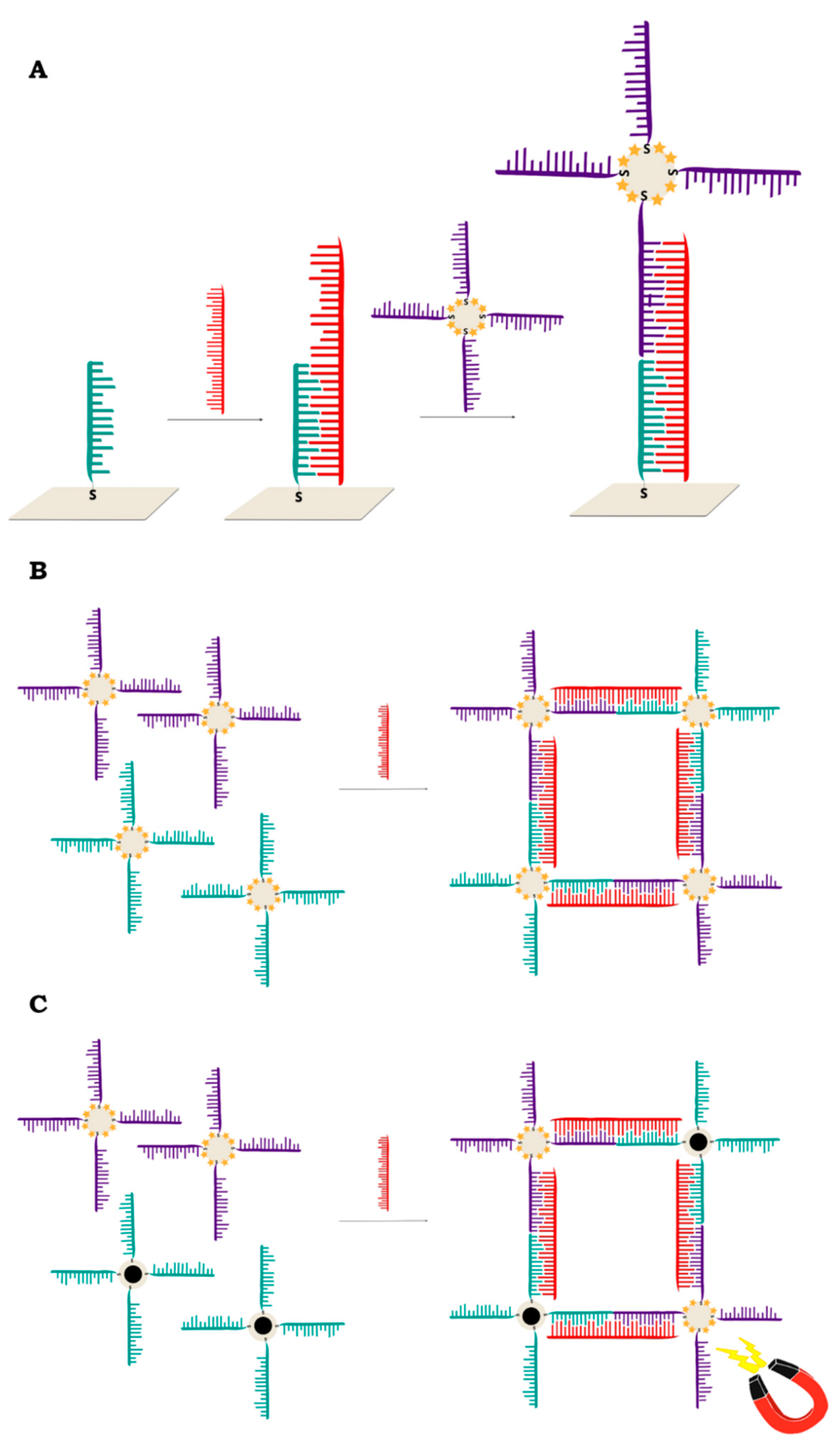 Molecules 24 04423 g009 Molecules 24 04423 g009