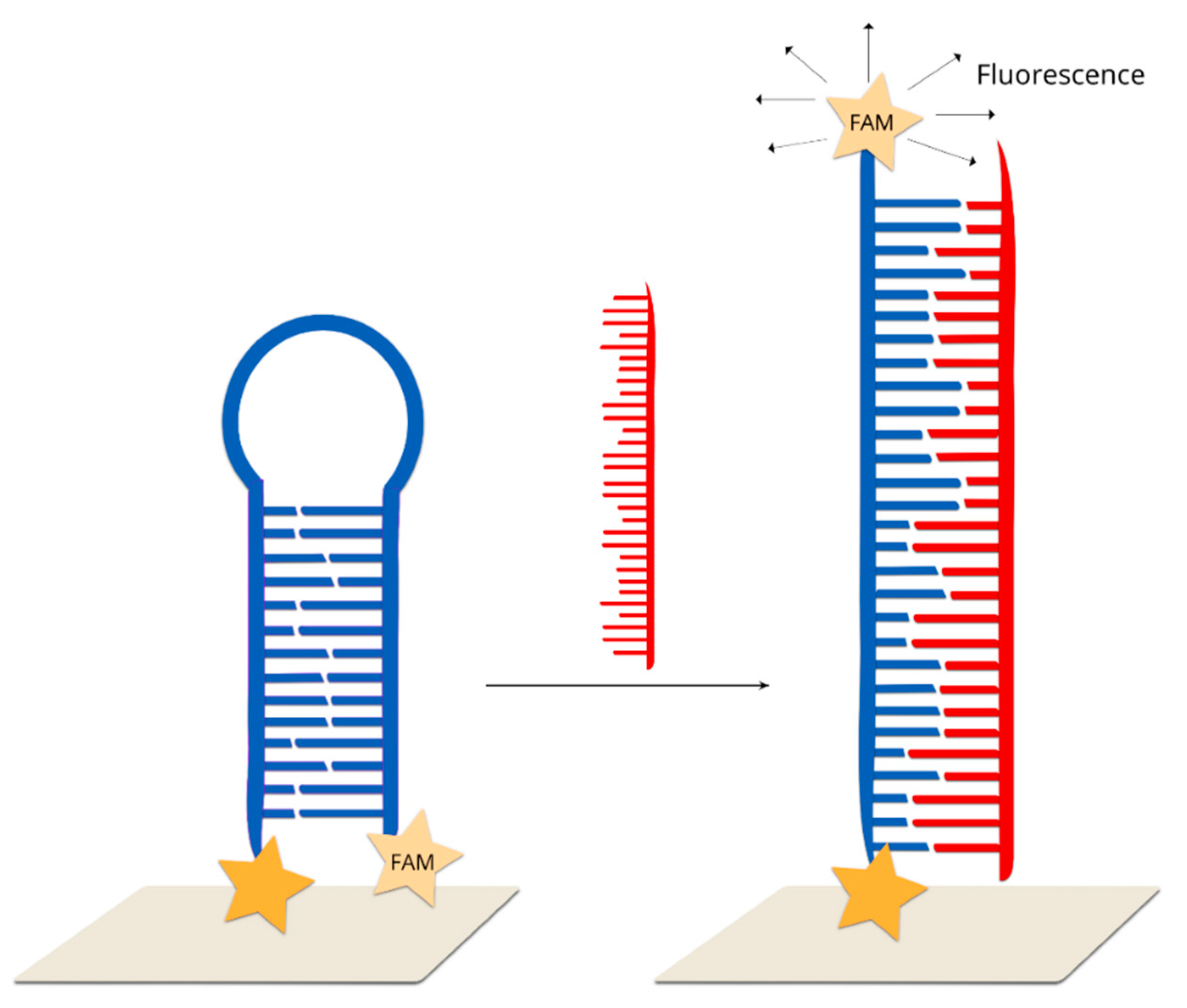 Molecules 24 04423 g012 Molecules 24 04423 g012
