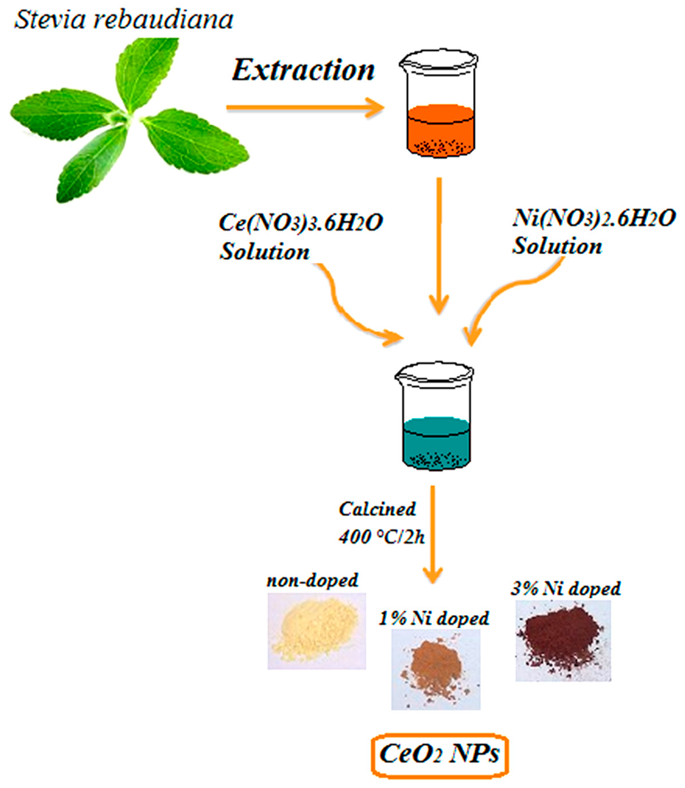 Molecules 24 04424 g006 Molecules 24 04424 g006