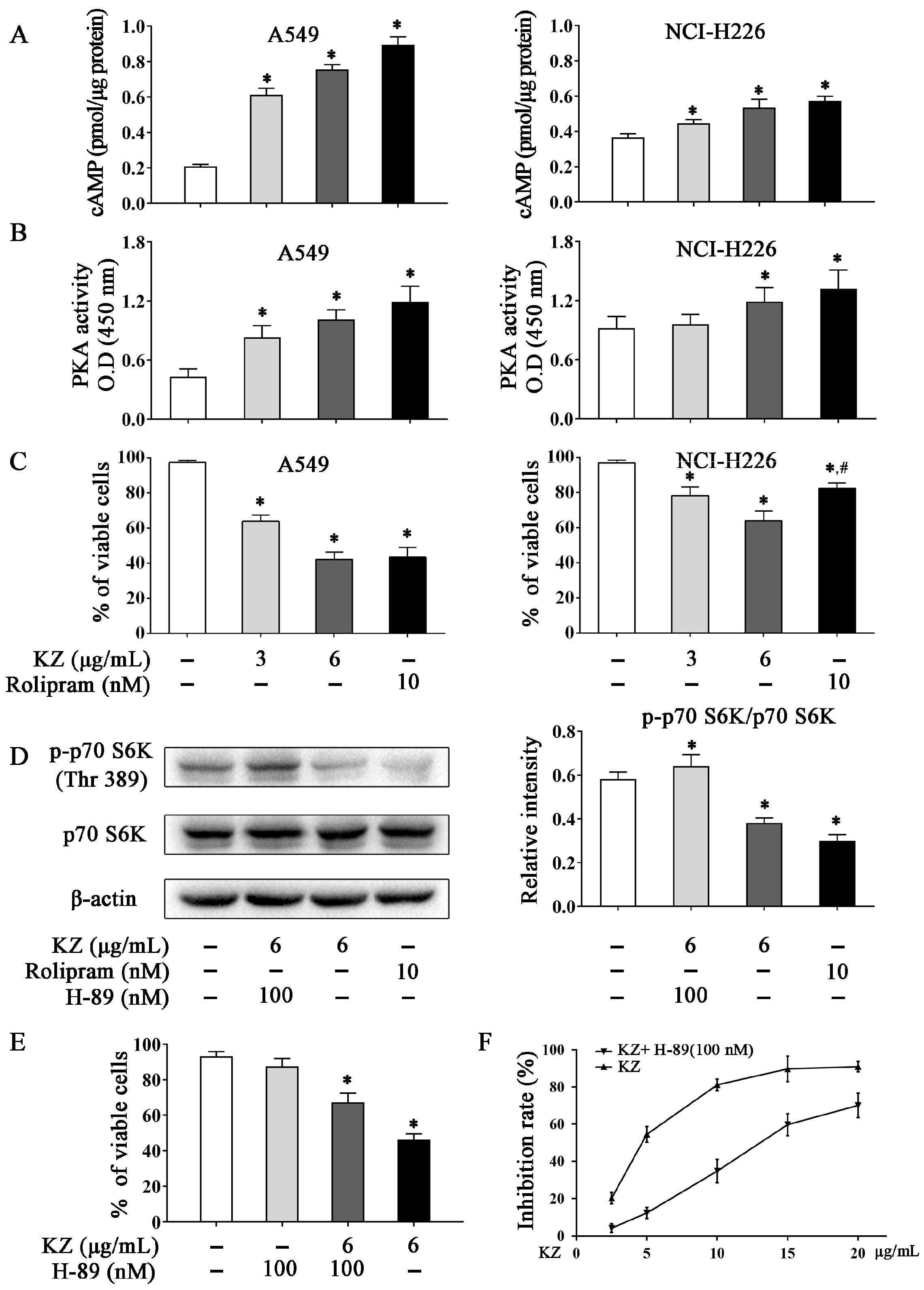 Molecules 24 04425 g005 Molecules 24 04425 g005