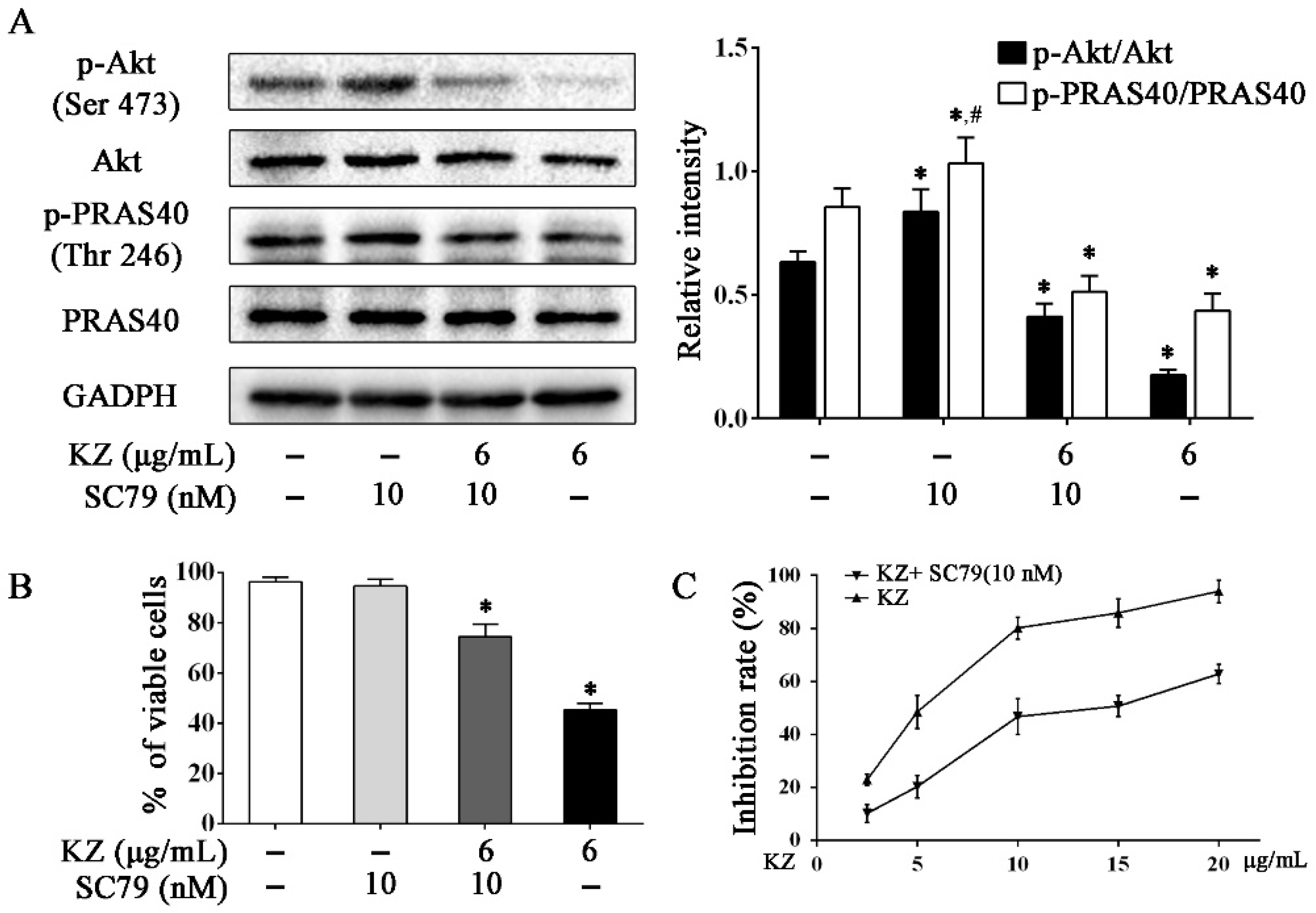 Molecules 24 04425 g006 Molecules 24 04425 g006