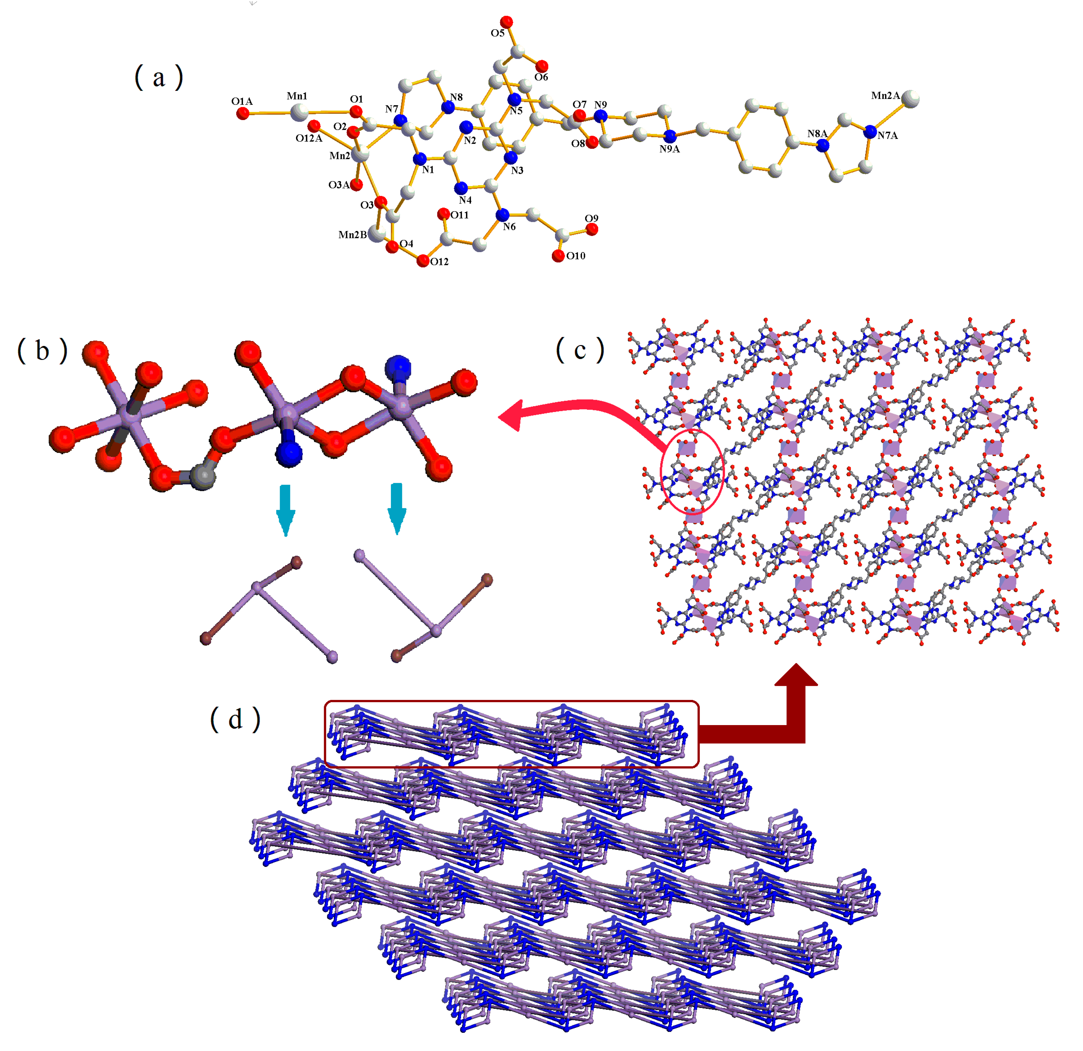 Molecules 24 04431 g003