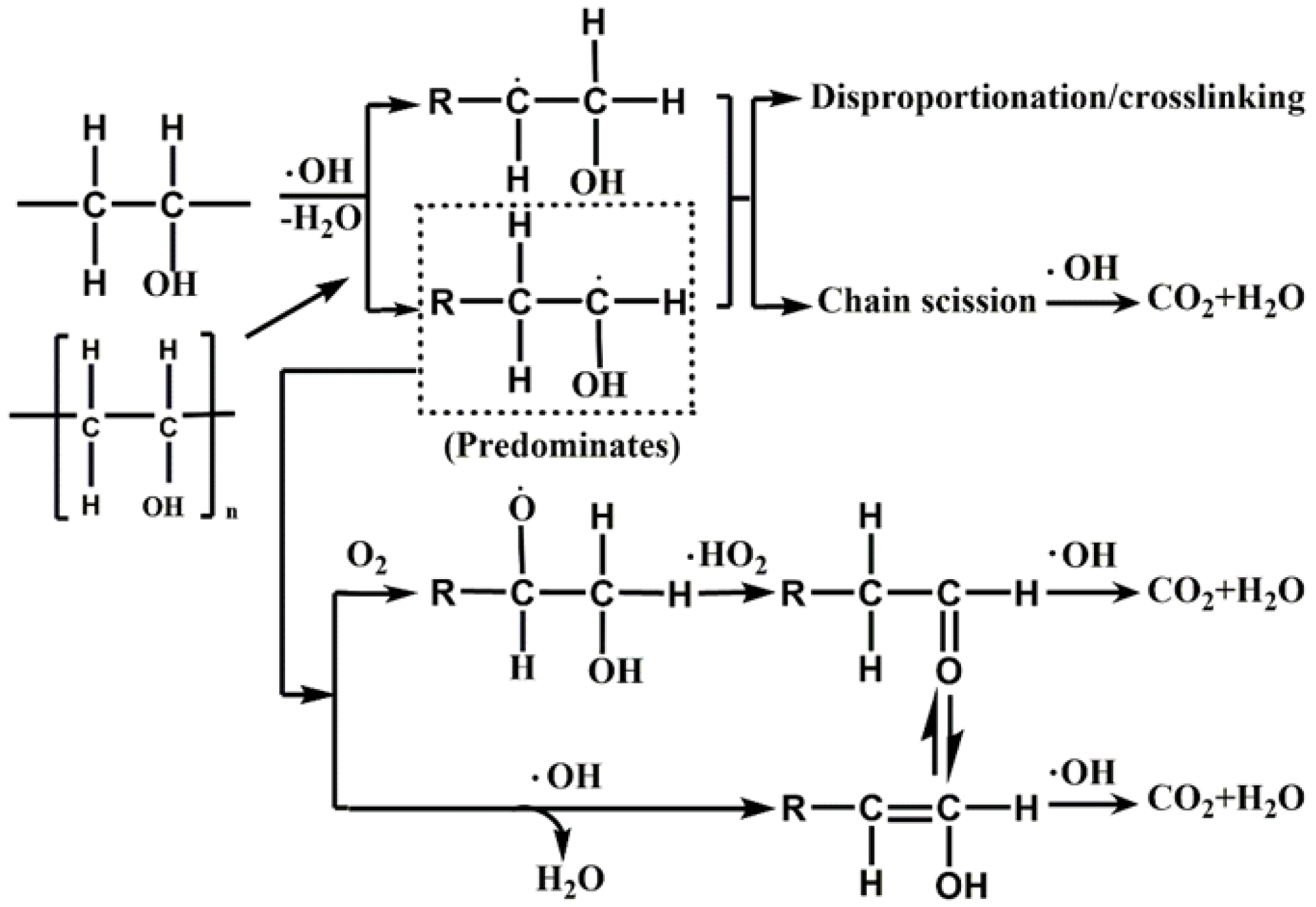 Molecules 24 04436 g007