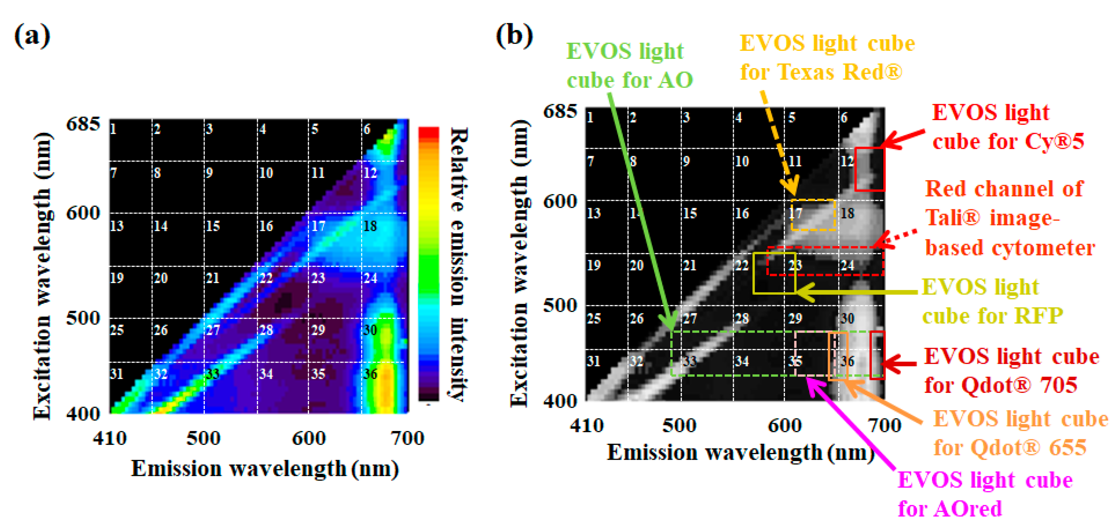 Molecules 24 04441 g007