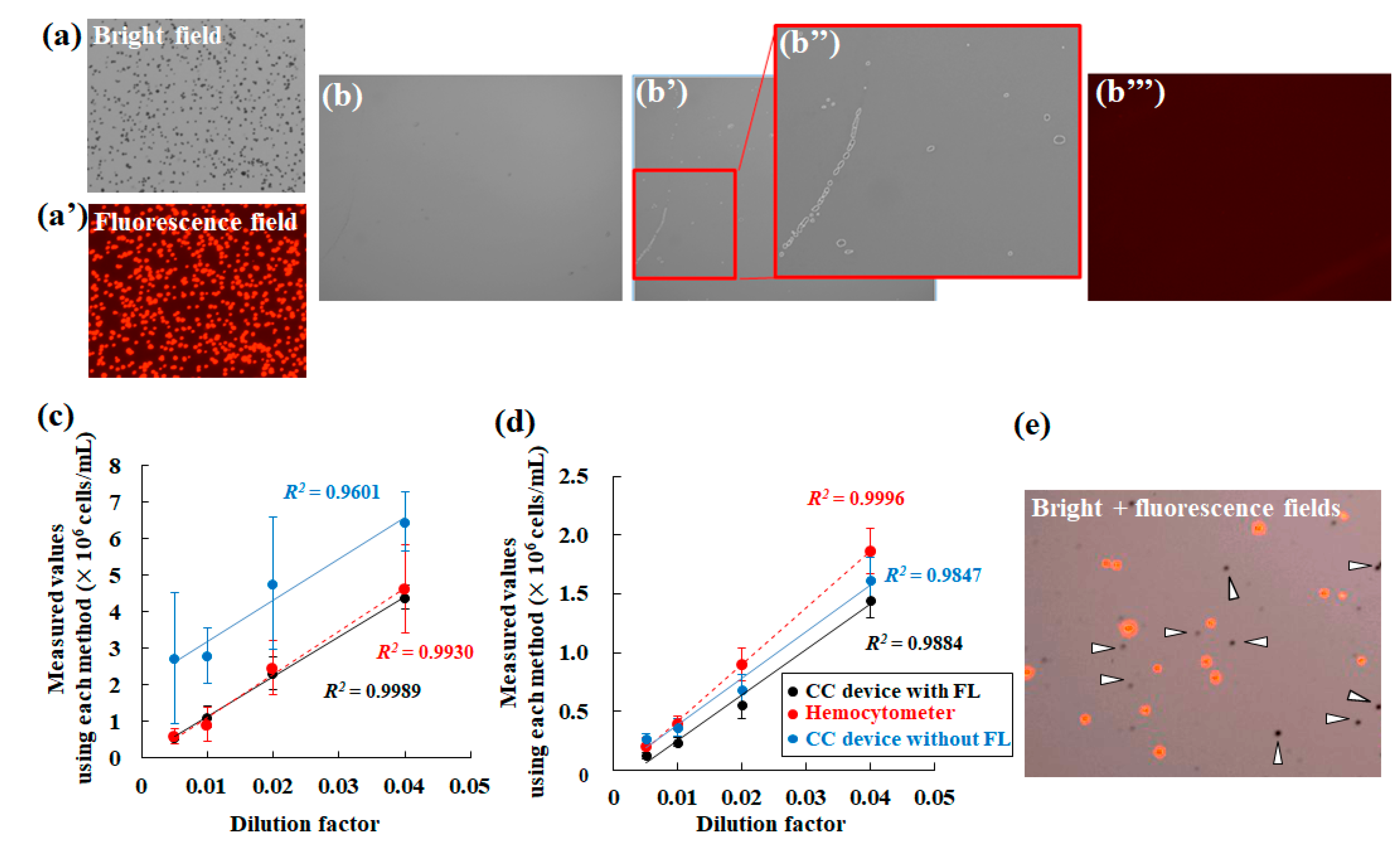 Molecules 24 04441 g008