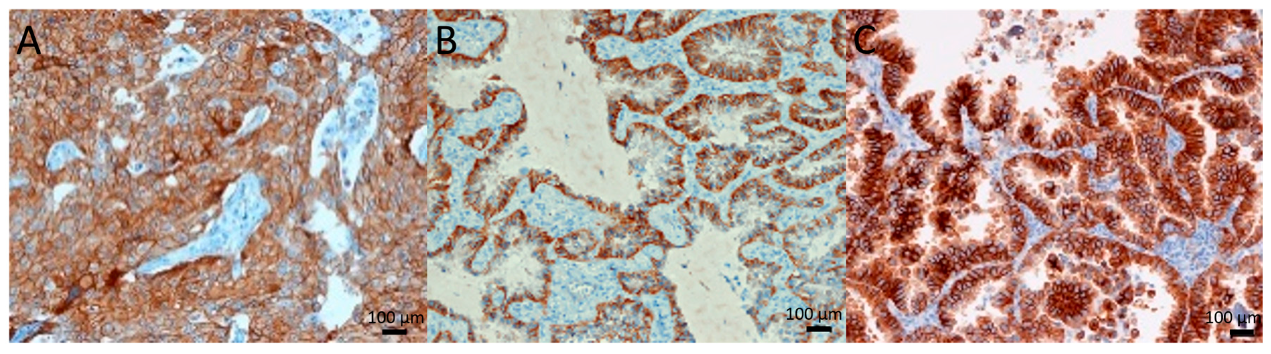 Molecules 24 04443 g001