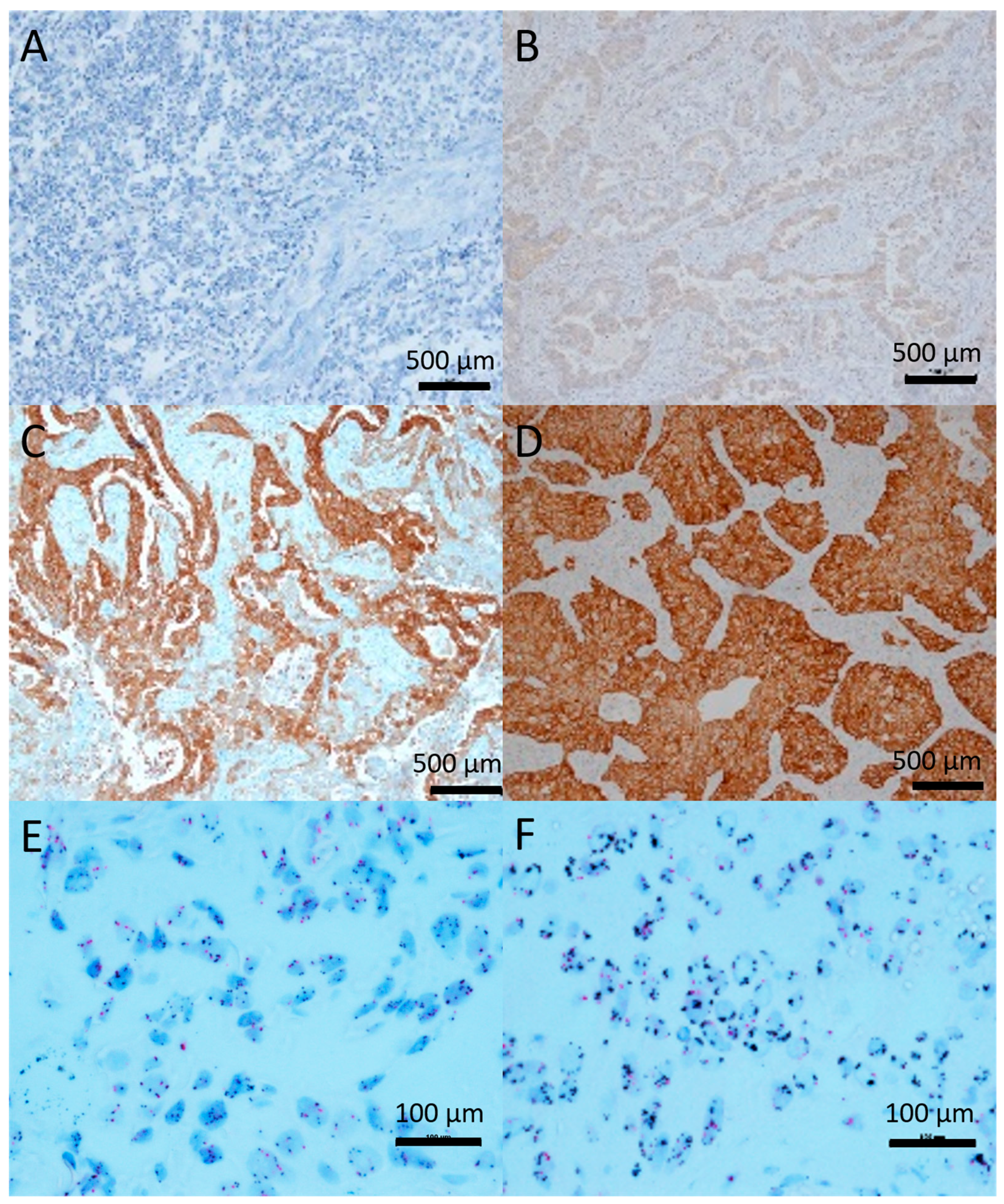 Molecules 24 04443 g003