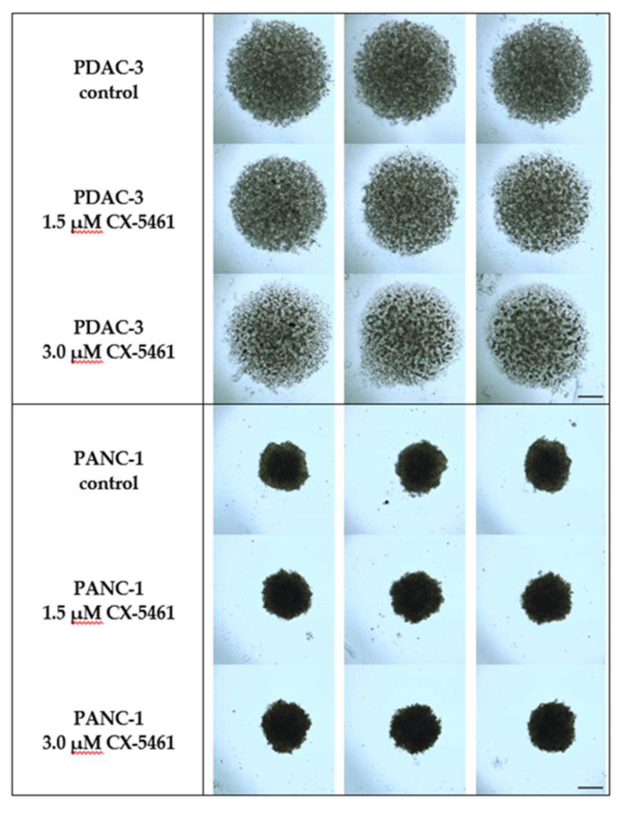 Molecules 24 04445 g005