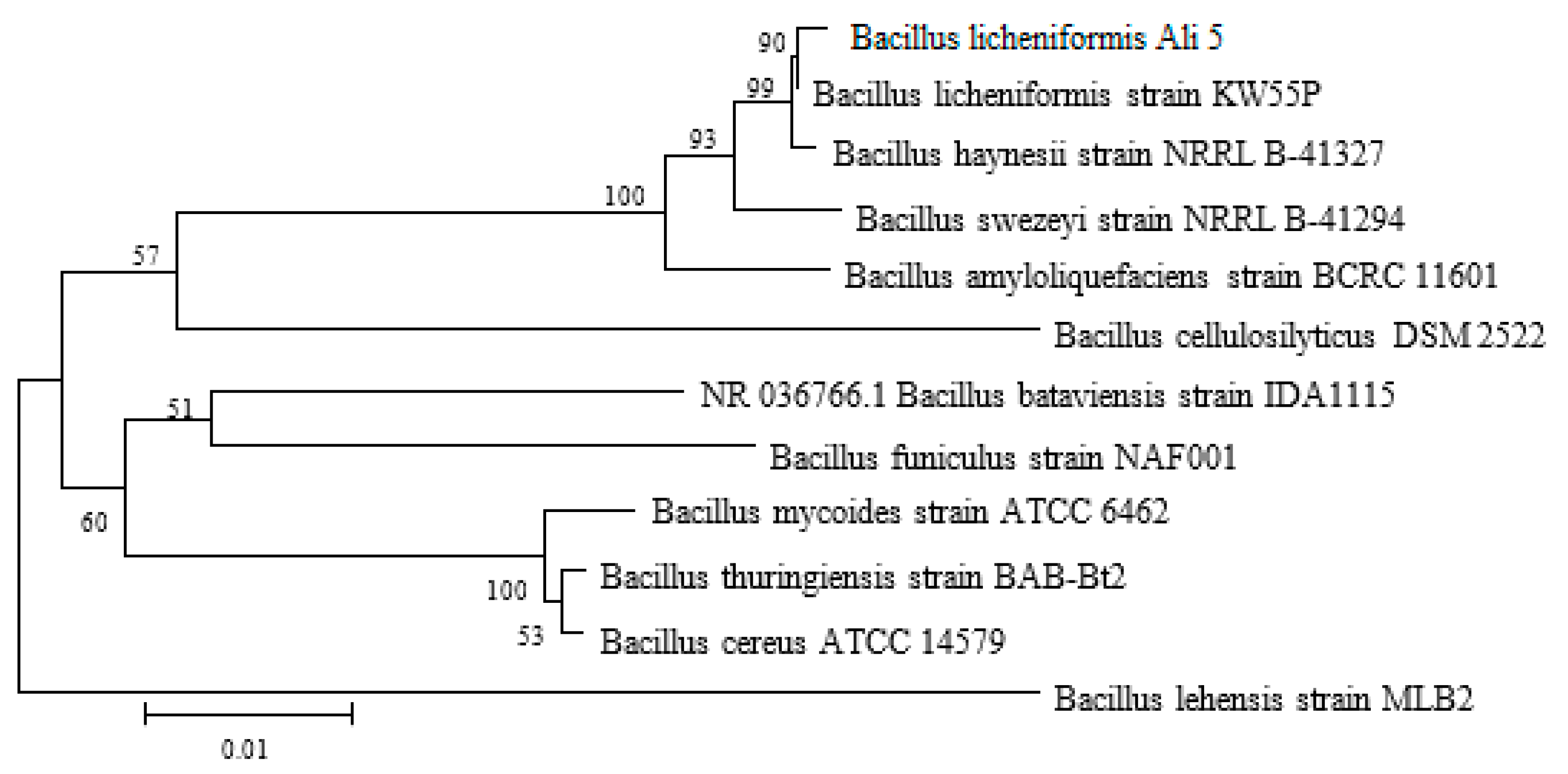 Molecules 24 04448 g001 Molecules 24 04448 g001