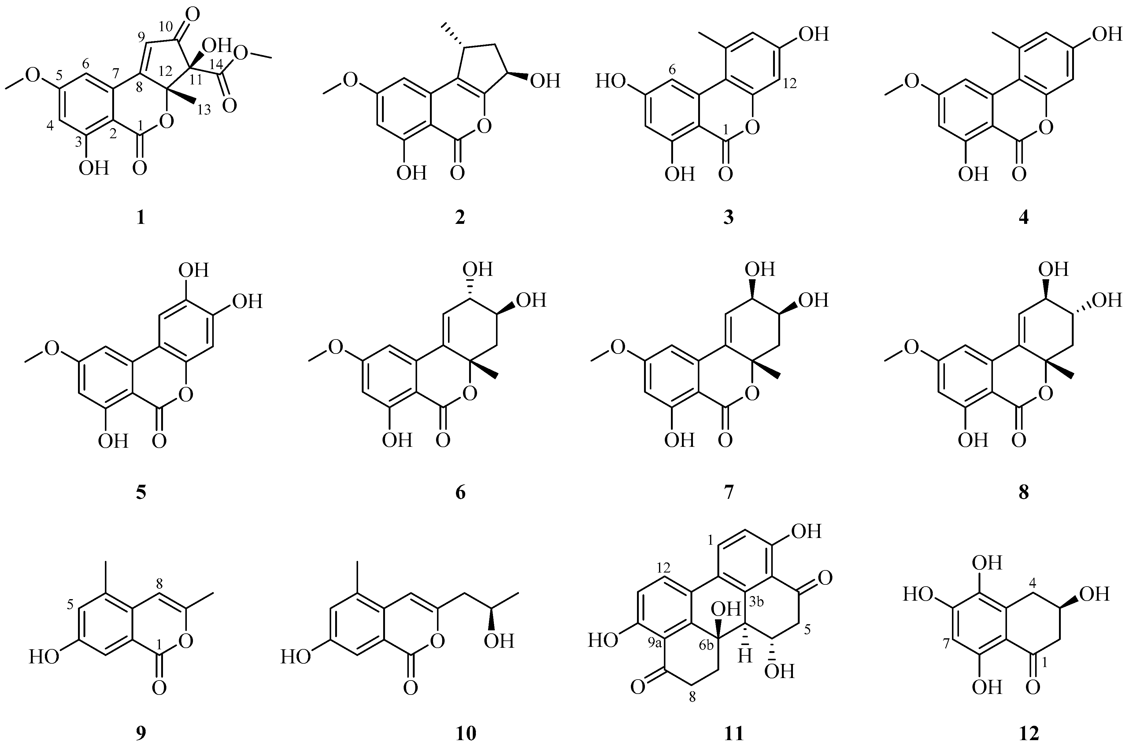 Molecules 24 04450 g001