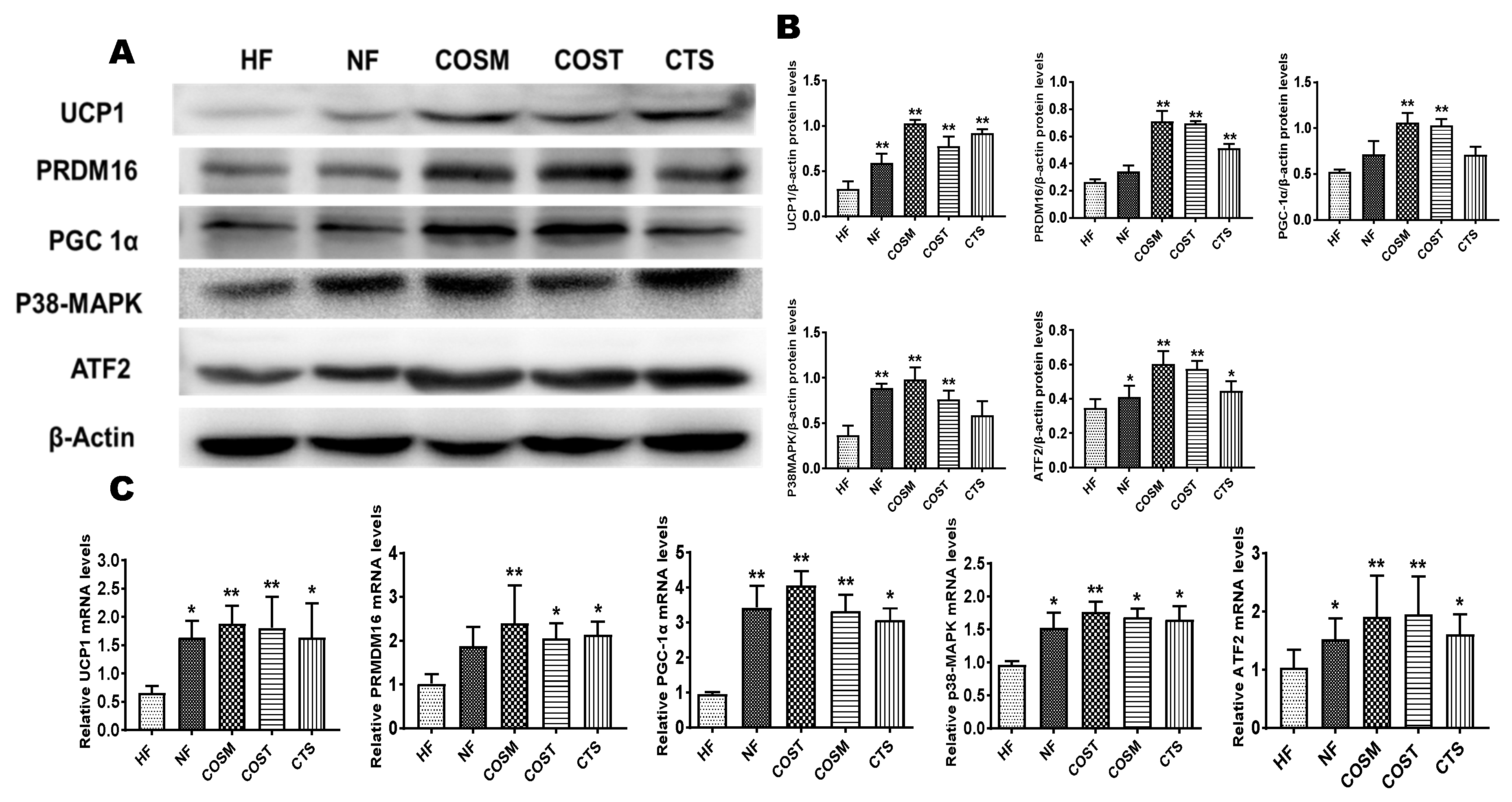 Molecules 24 04455 g007