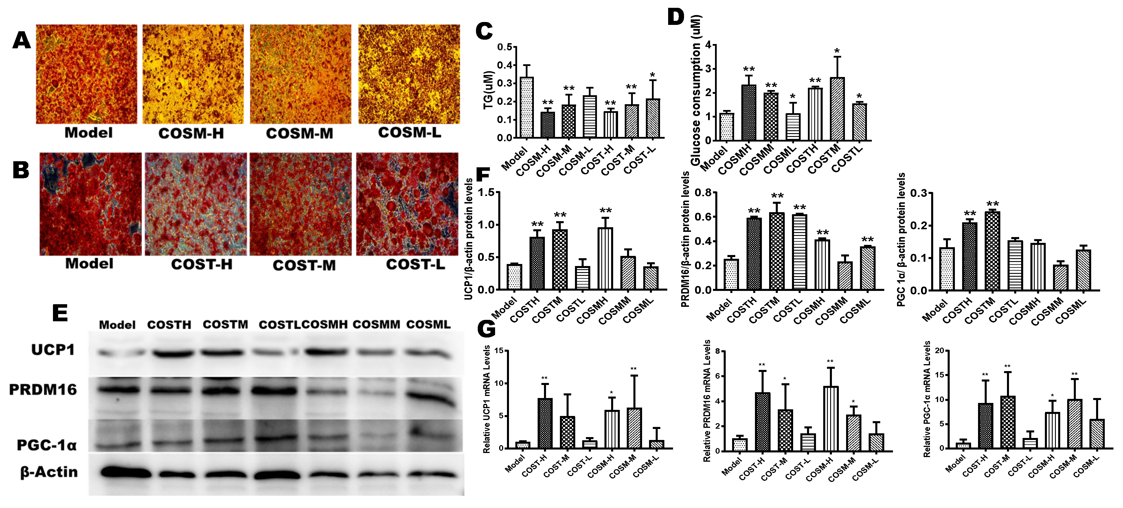 Molecules 24 04455 g008