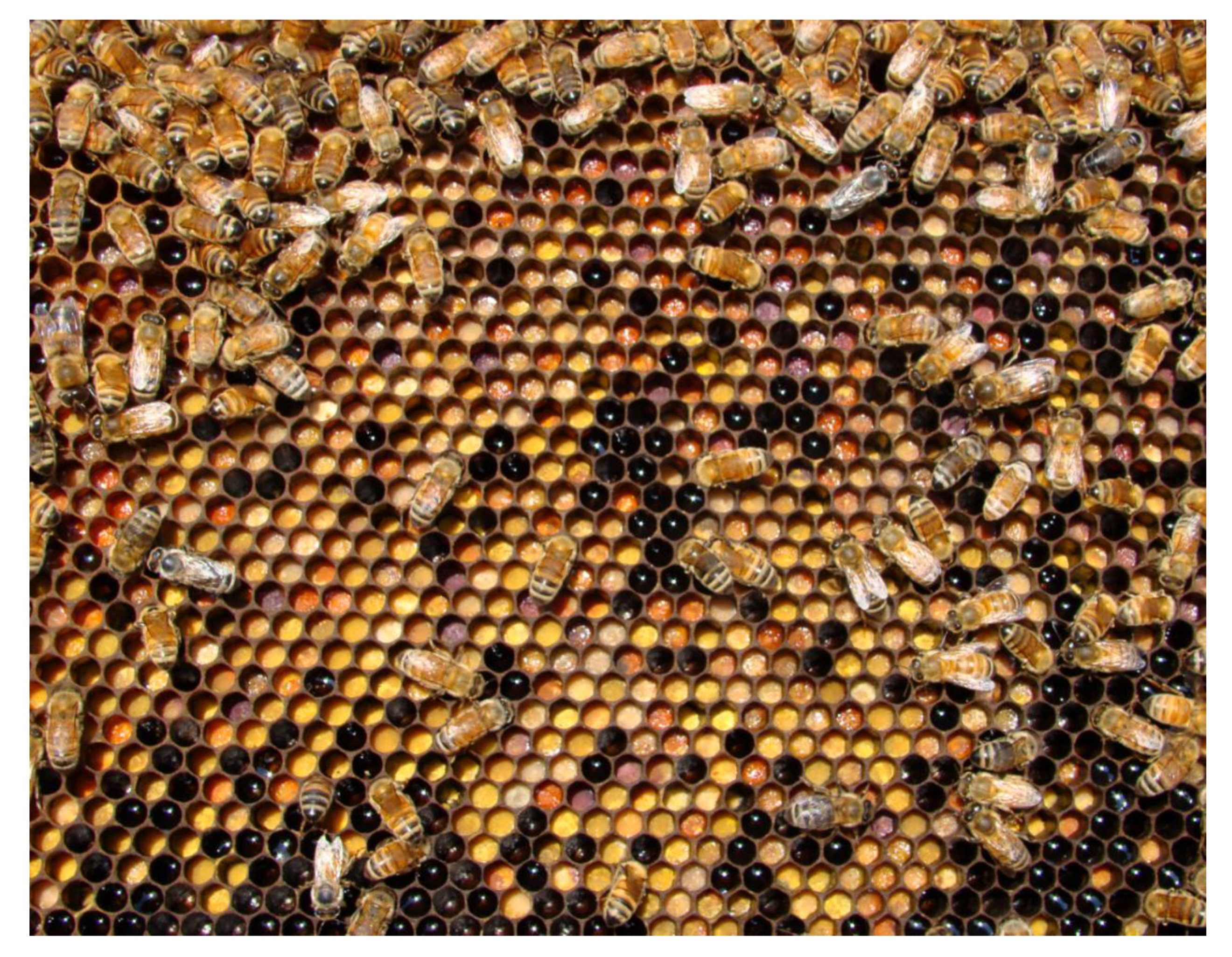 Molecules 24 04458 g007