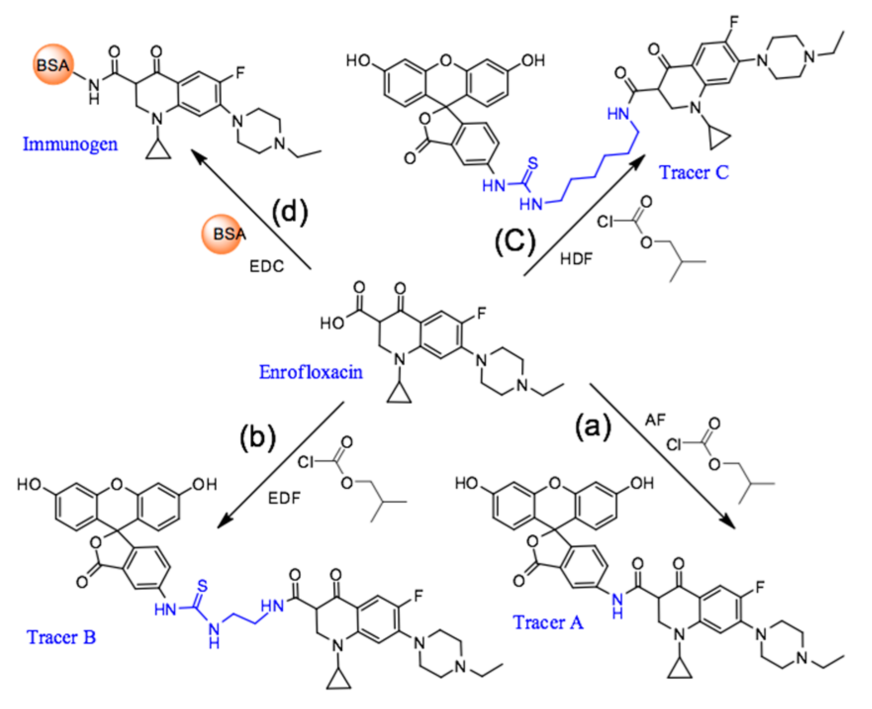 Molecules 24 04462 g006