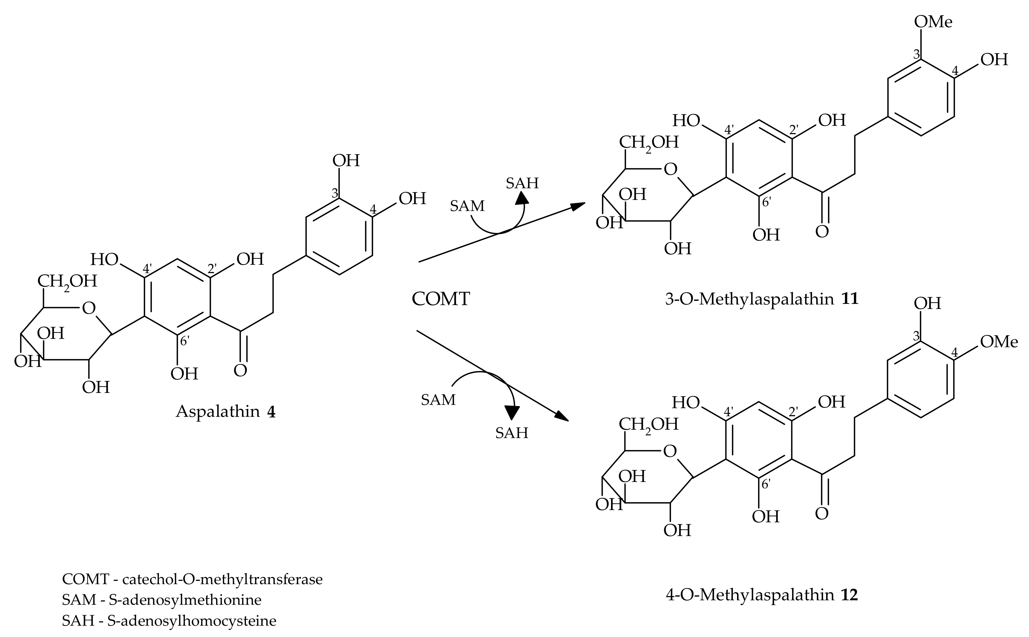 Molecules 24 04468 sch002