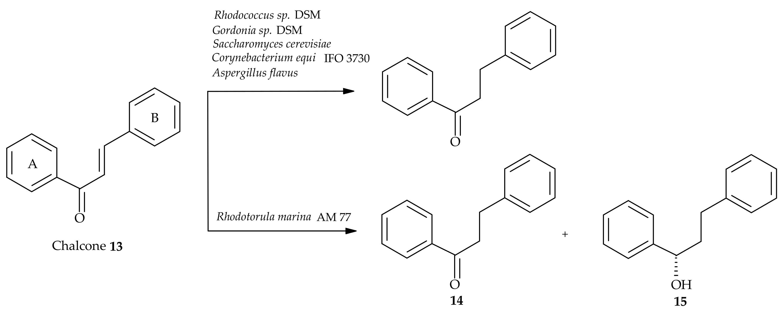 Molecules 24 04468 sch003