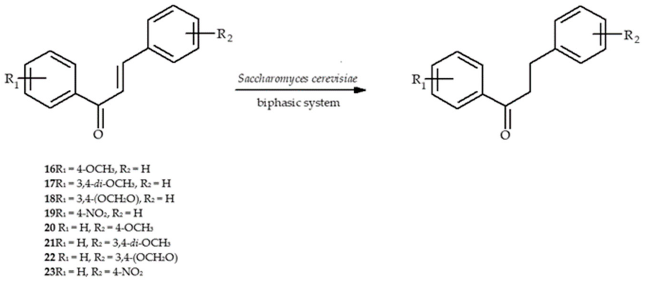 Molecules 24 04468 sch004