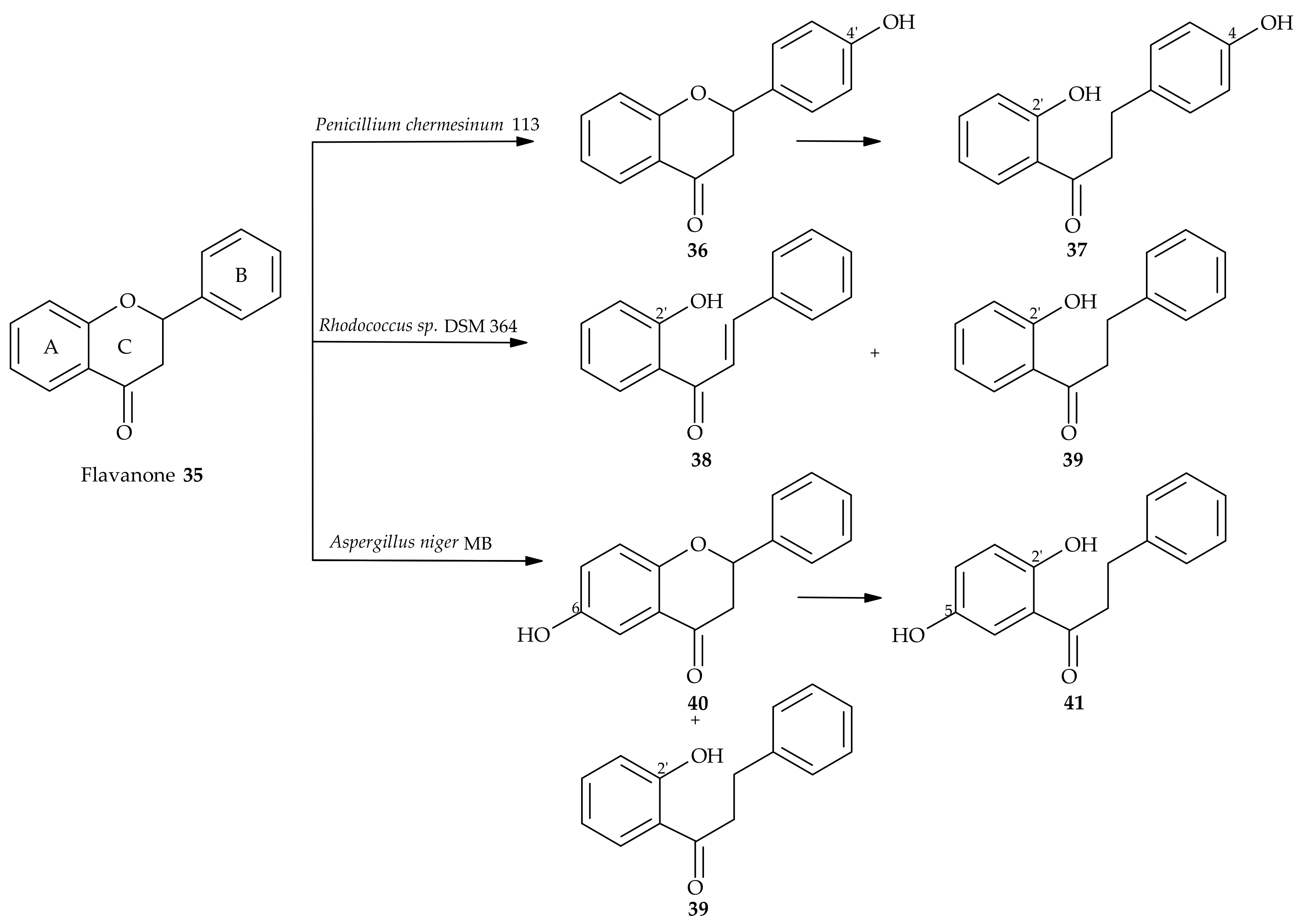Molecules 24 04468 sch007