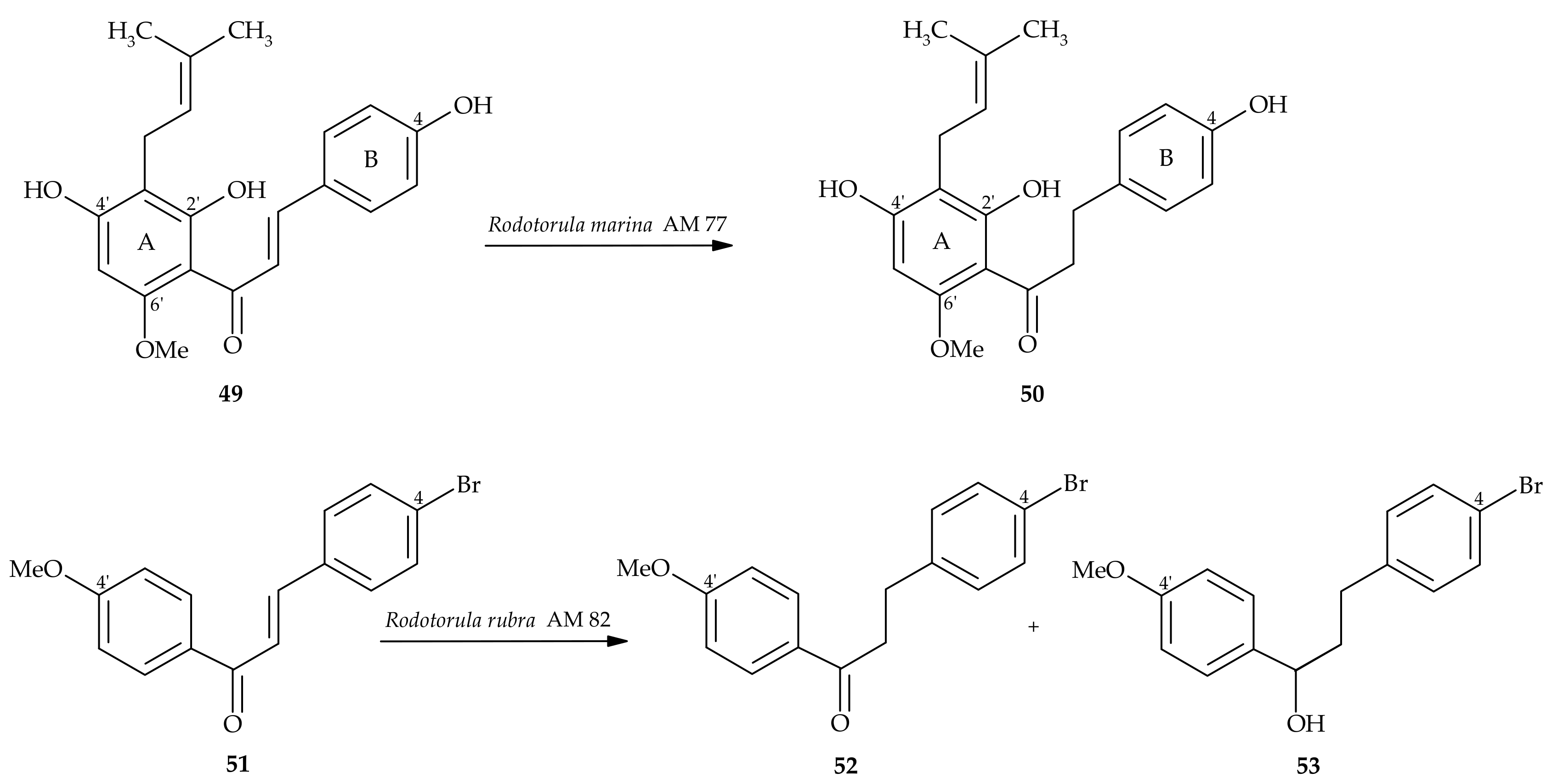 Molecules 24 04468 sch010