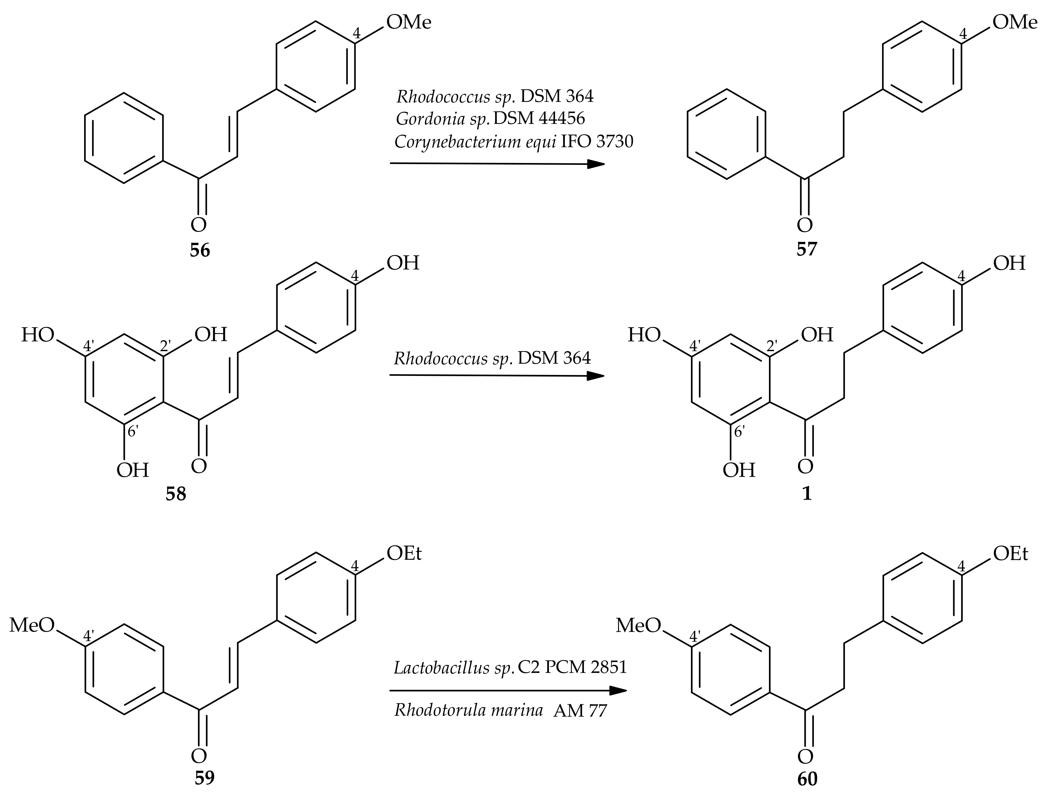 Molecules 24 04468 sch012