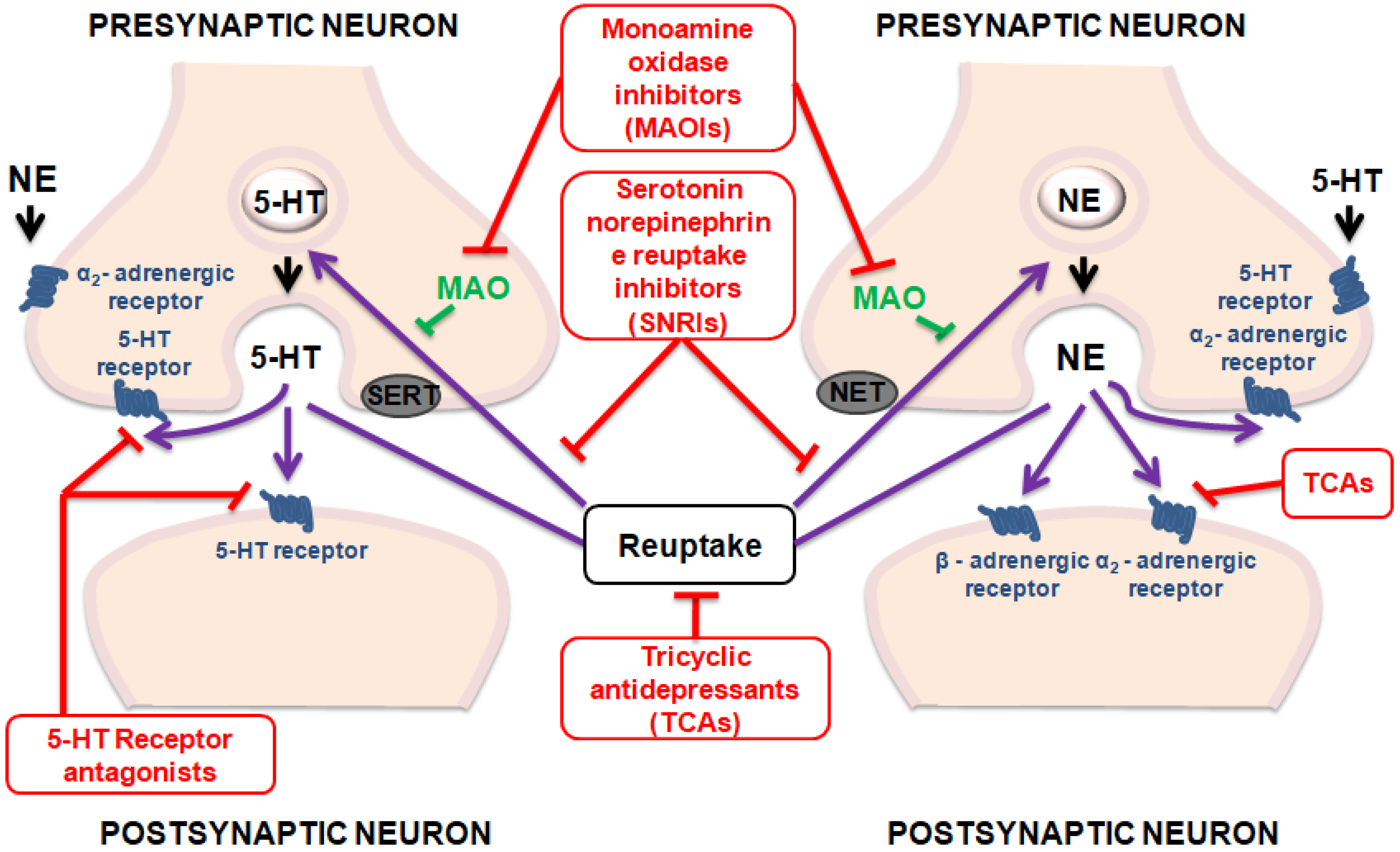 thesis on antidepressant drugs